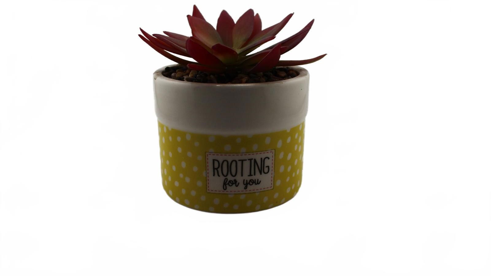 Designer Polkadot Yellow Ceramic Planter with Artificial Succulent Size ONE SIZE - 2 Thumbnail