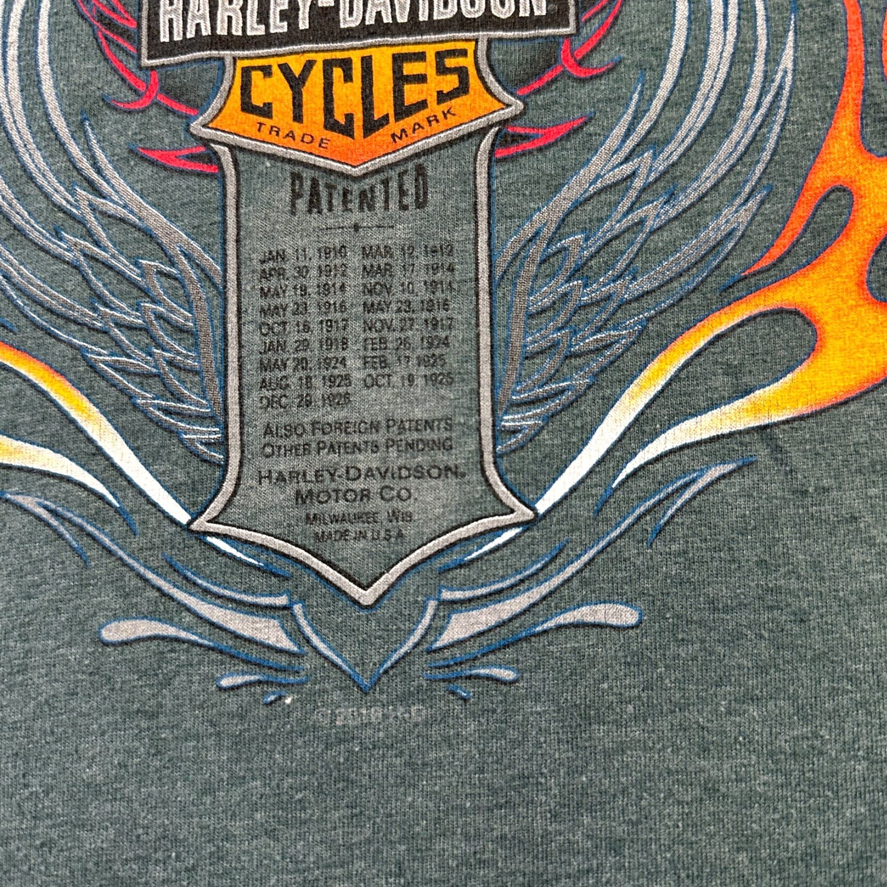 Harley Davidson Harley Davidson Shirt Mens Extra Large Green Double Flame Daytona Size US XL / EU 56 / 4 - 3 Thumbnail