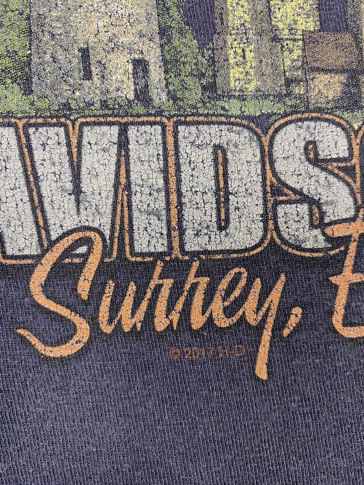 Harley Davidson Harley Davidson Guildford Surrey England Motorcycle 2013 tee Size US S / EU 44-46 / 1 - 16 Thumbnail