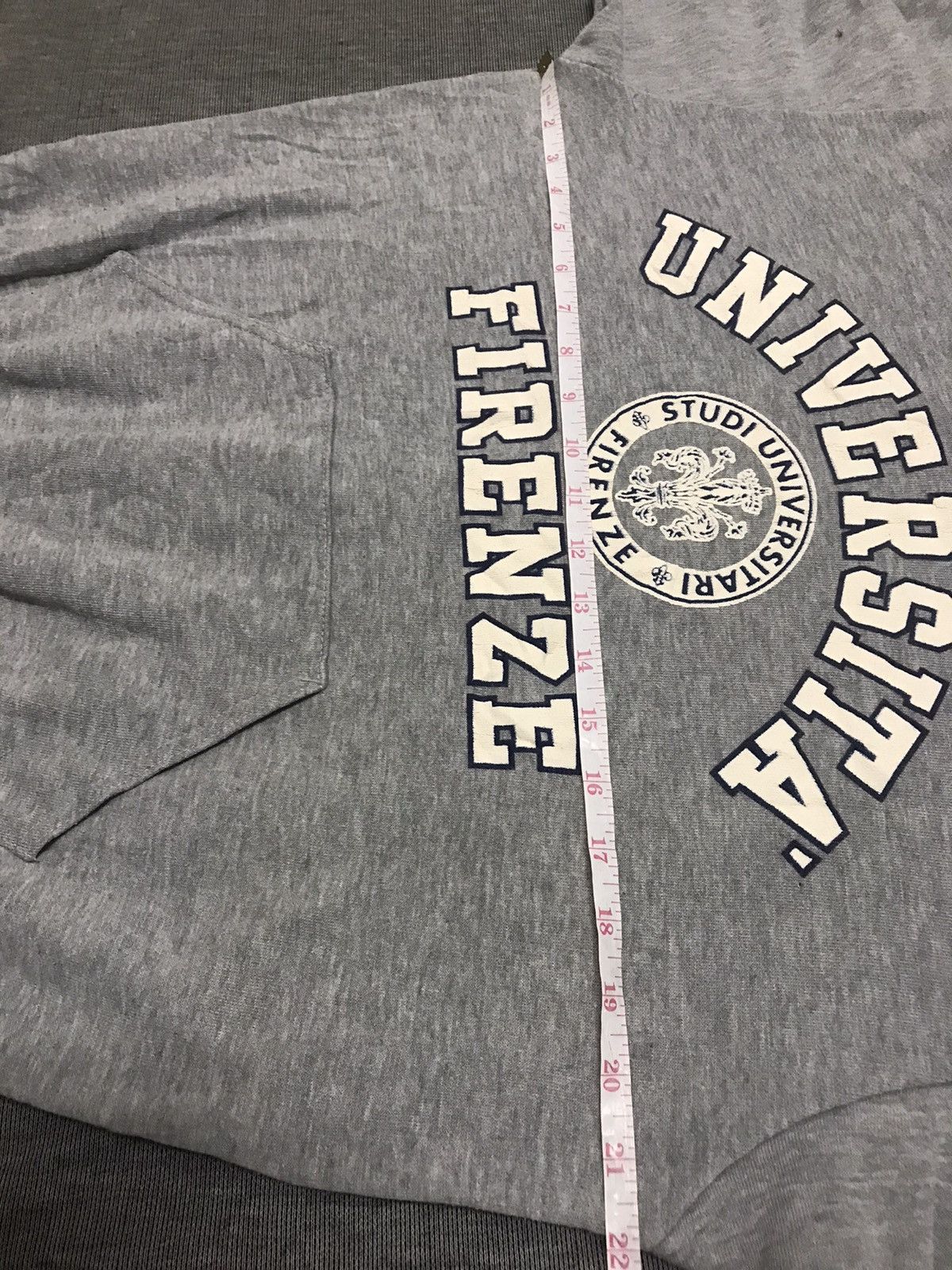 Vintage Vintage Universita’ Firenze Hodie Size US M / EU 48-50 / 2 - 6 Thumbnail