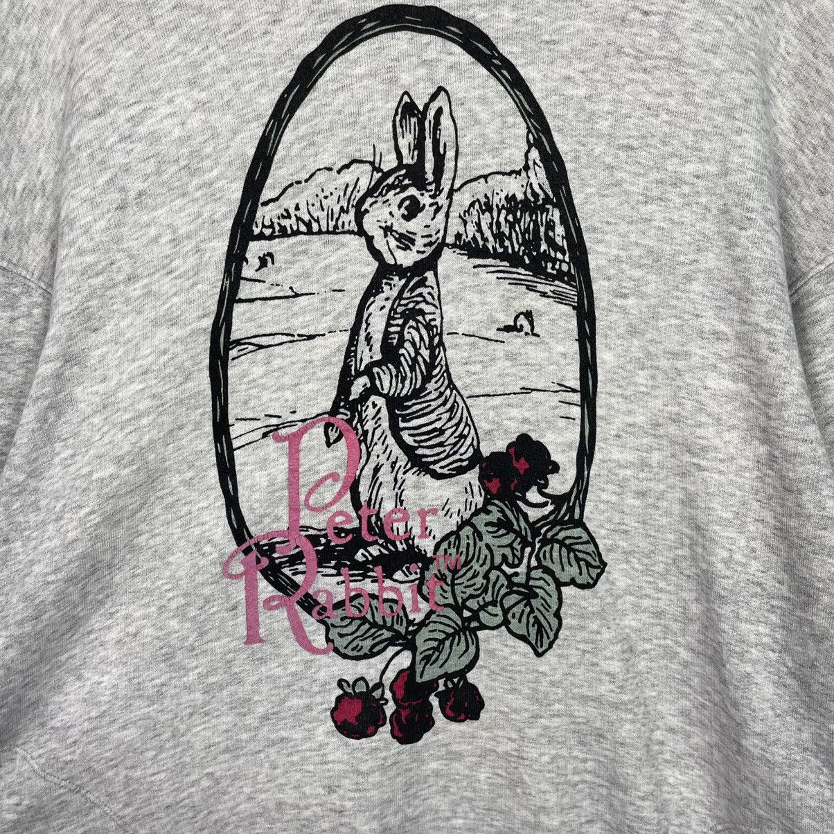 Uniqlo Uniqlo Petter Rabbit Pullover Hoodie Size US L / EU 52-54 / 3 - 13 Thumbnail