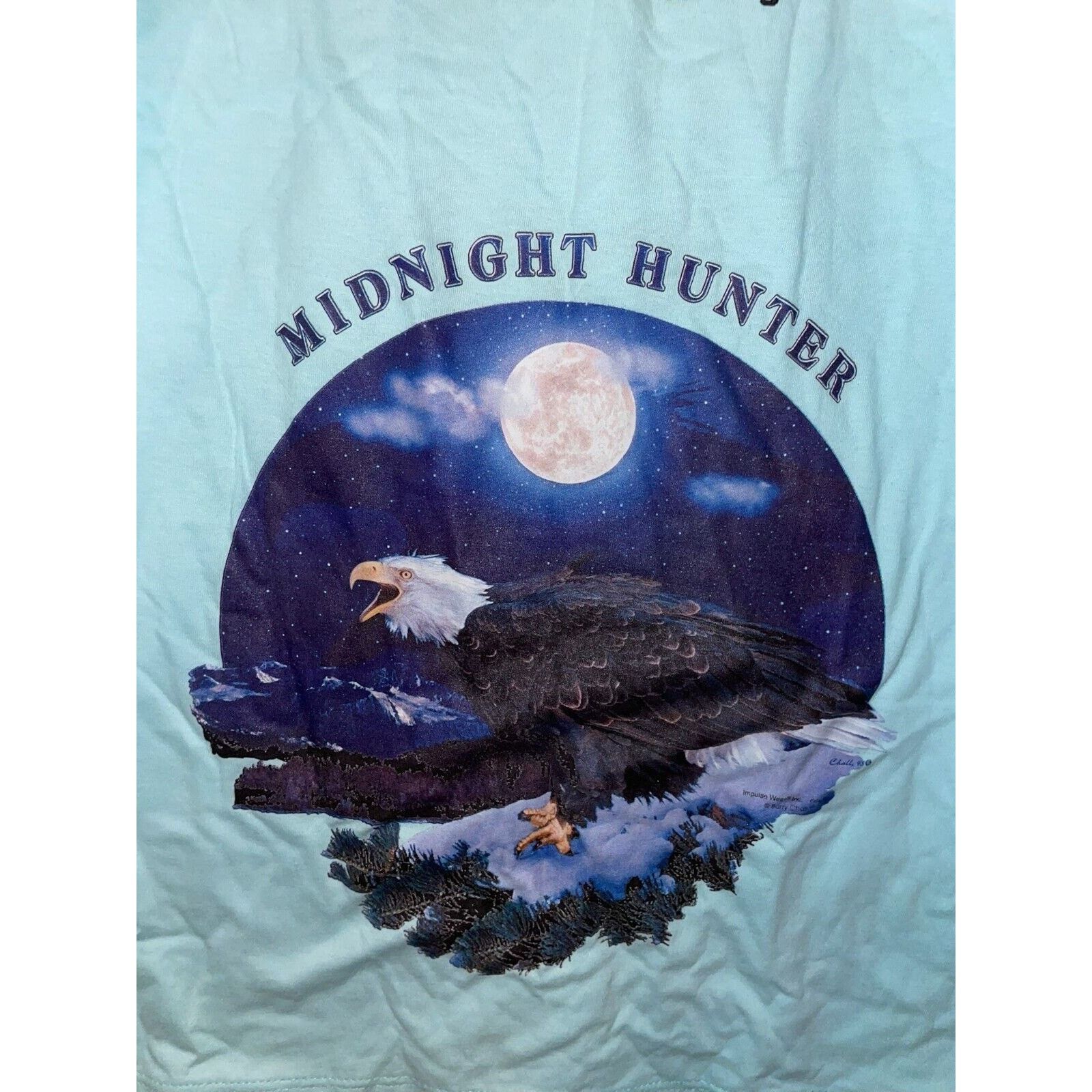 Jerzees Vintage Been Ther Done That Test Print Blue Eagle S Tee 90s Size US S / EU 44-46 / 1 - 8 Thumbnail