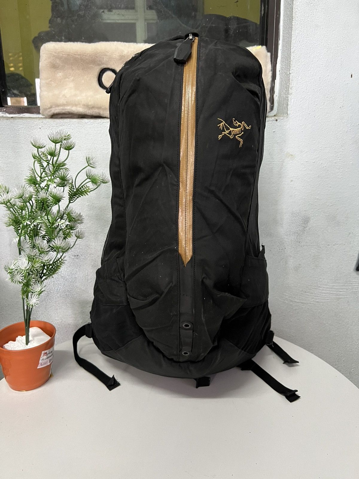 Arc'teryx Arcteryx ARRO 22 Backpack Size ONE SIZE - 2 Thumbnail