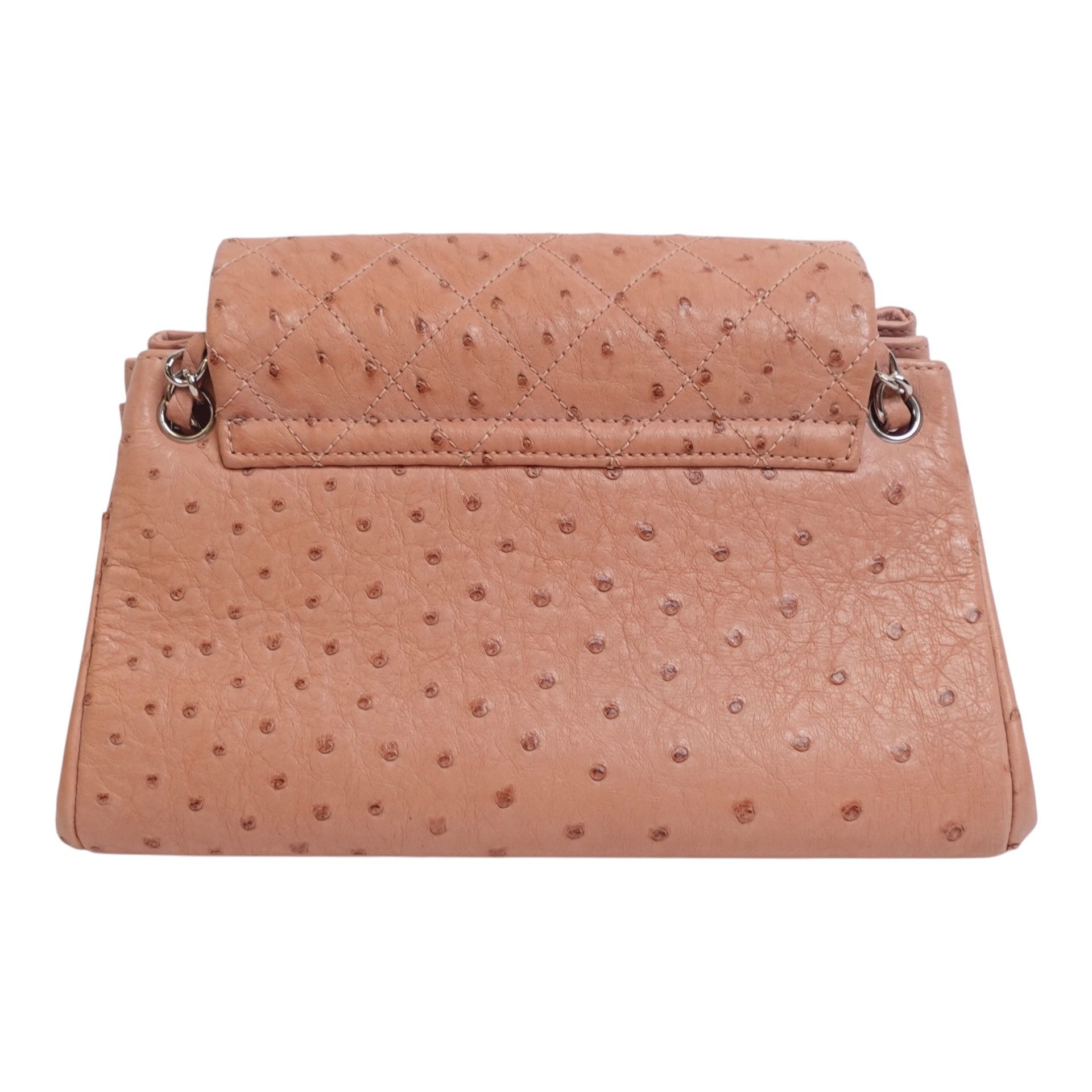 Chanel Chanel Ostrich Accordion Flap Bag Size ONE SIZE - 4 Thumbnail