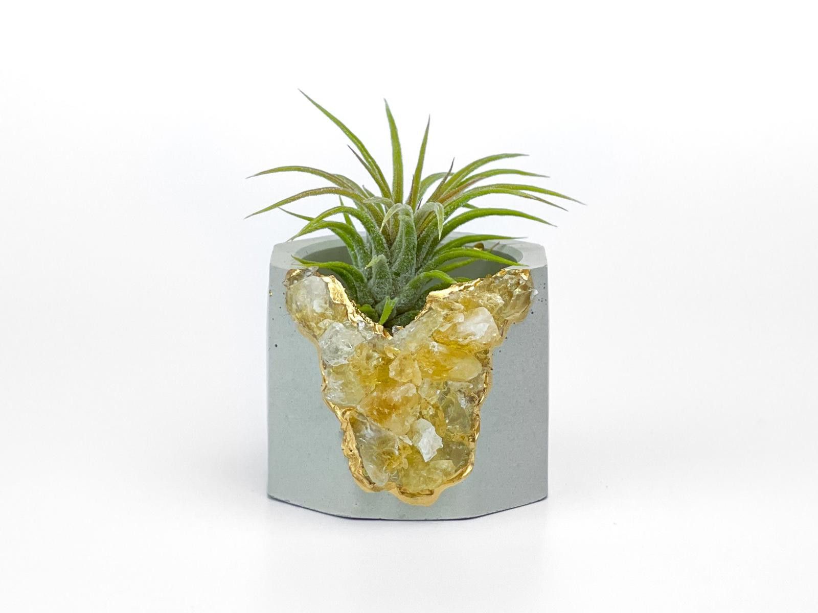 Other Raw Citrine Succulent Geode Planter Crystal Air Plant Holder Size ONE SIZE - 6 Thumbnail