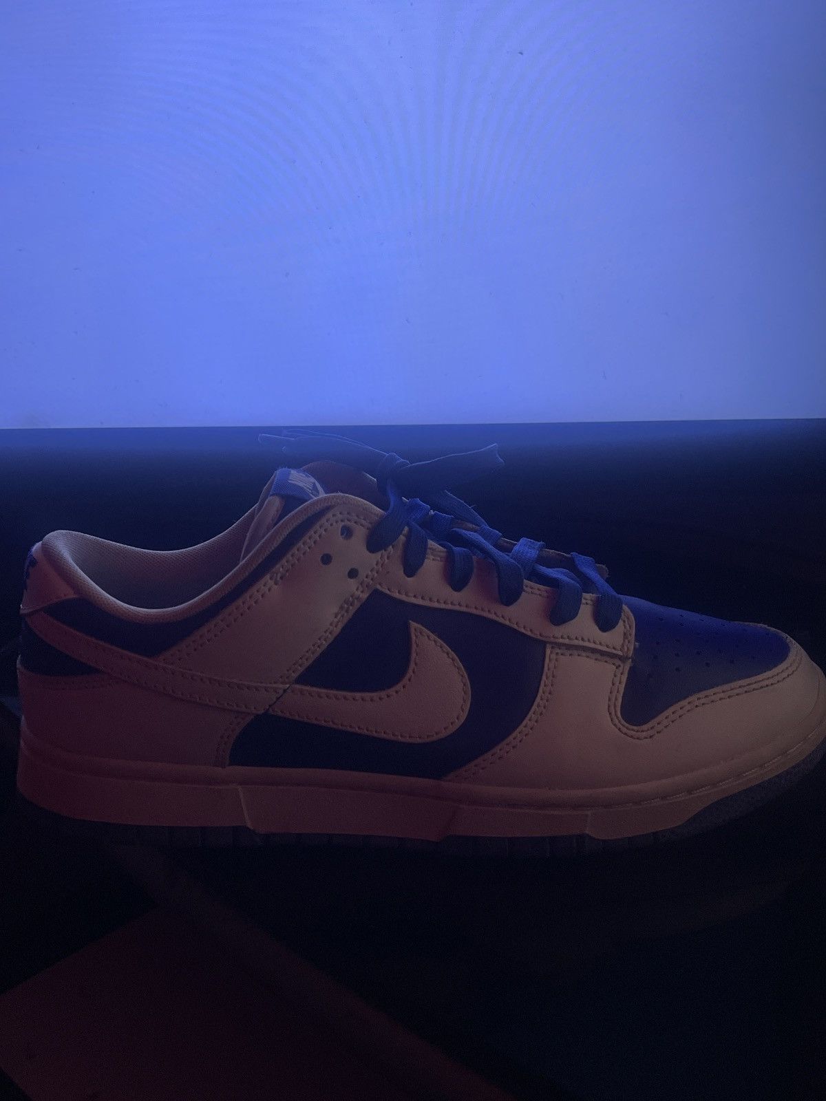 Nike Racer Blue Dunk Low Size US 9 / EU 42 - 1 Thumbnail