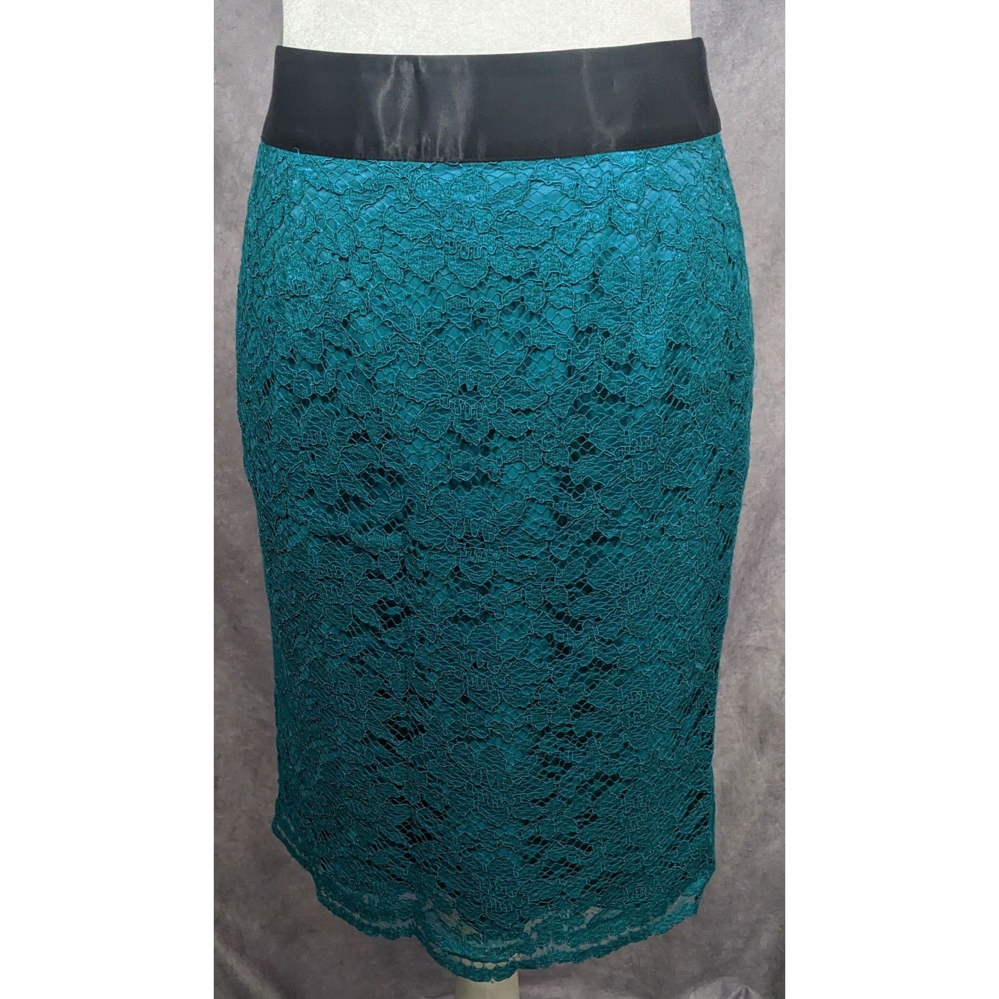 Banana Republic Banana Republic X LWren Scott Teal Lace Pencil Skirt Size 25" / US 0 / IT 36 - 4 Thumbnail