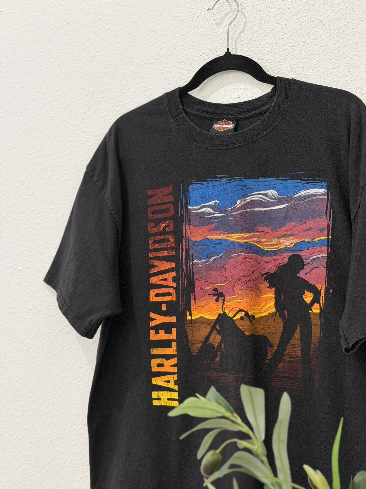 Harley Davidson Harley Davidson grand Canyon Sunset Biker Graphic Tee SizeXL Size US XL / EU 56 / 4 - 2 Thumbnail