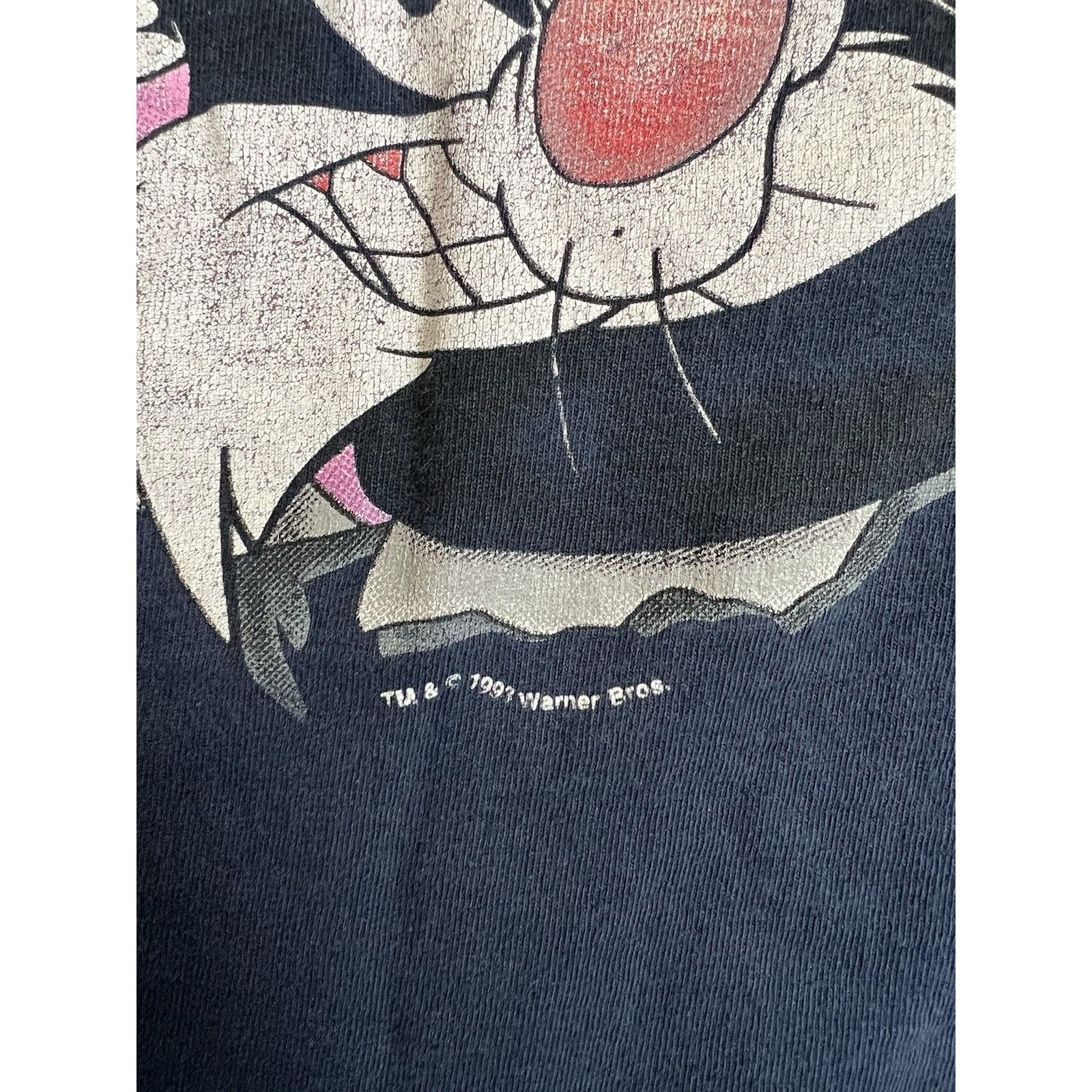 Vintage Vintage Looney Tunes Tweety & Sylvester 90s 1993 Single Stit Size US L / EU 52-54 / 3 - 3 Thumbnail