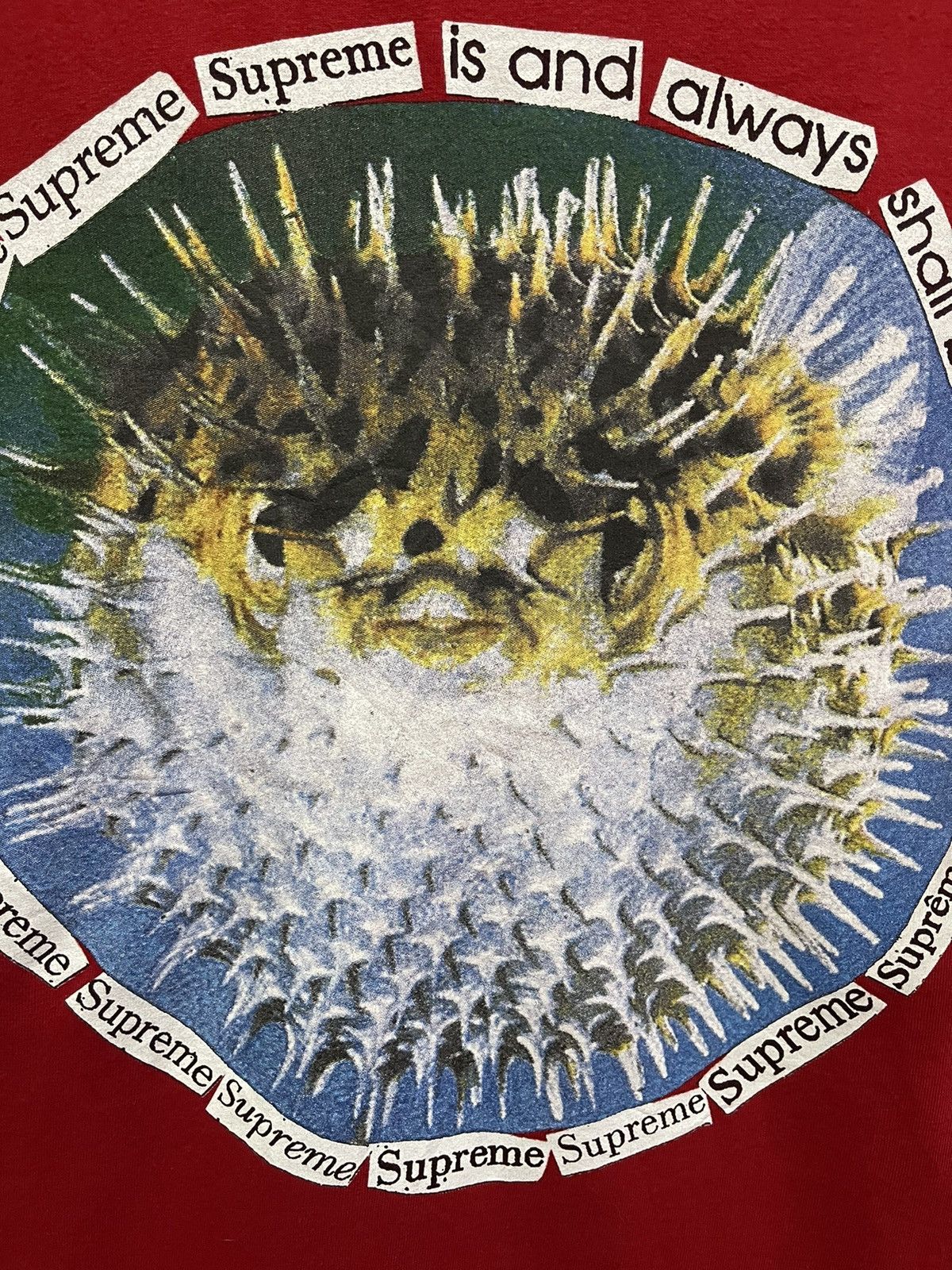 Supreme Supreme 23SS Blowfish🔥🔥🔥 Size US L / EU 52-54 / 3 - 8 Thumbnail
