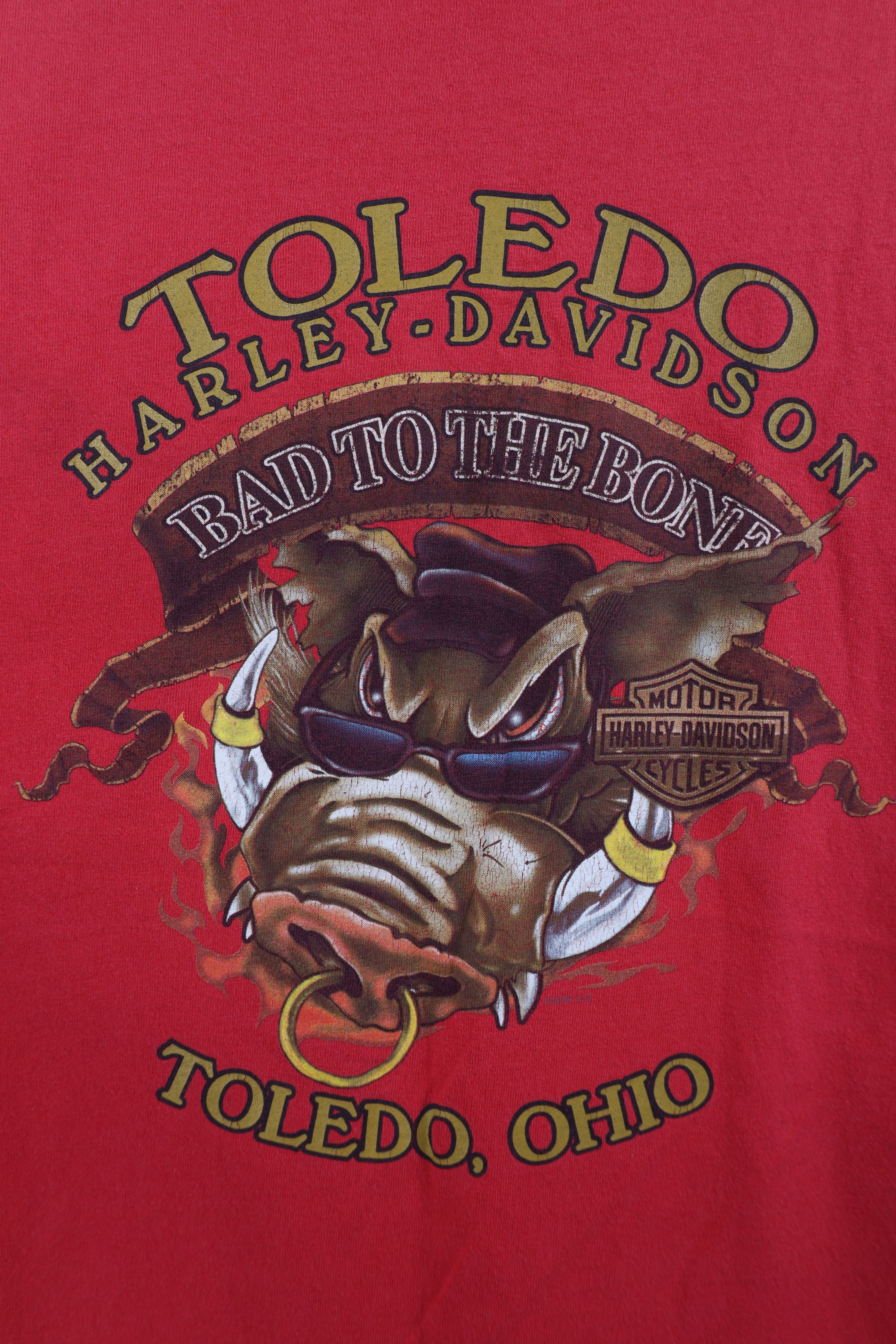 Harley Davidson Vintage Y2K Harley Davidson Fire Flames Hog Tribal T-Shirt Size US L / EU 52-54 / 3 - 12 Thumbnail