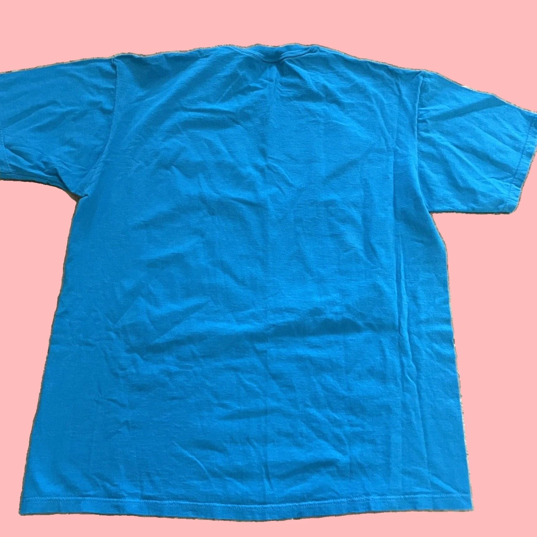 Jerzees VINTAGE Jerzees New Mexico Graphic Cotton Blue T-Shirt Mens XL Size US XL / EU 56 / 4 - 5 Thumbnail