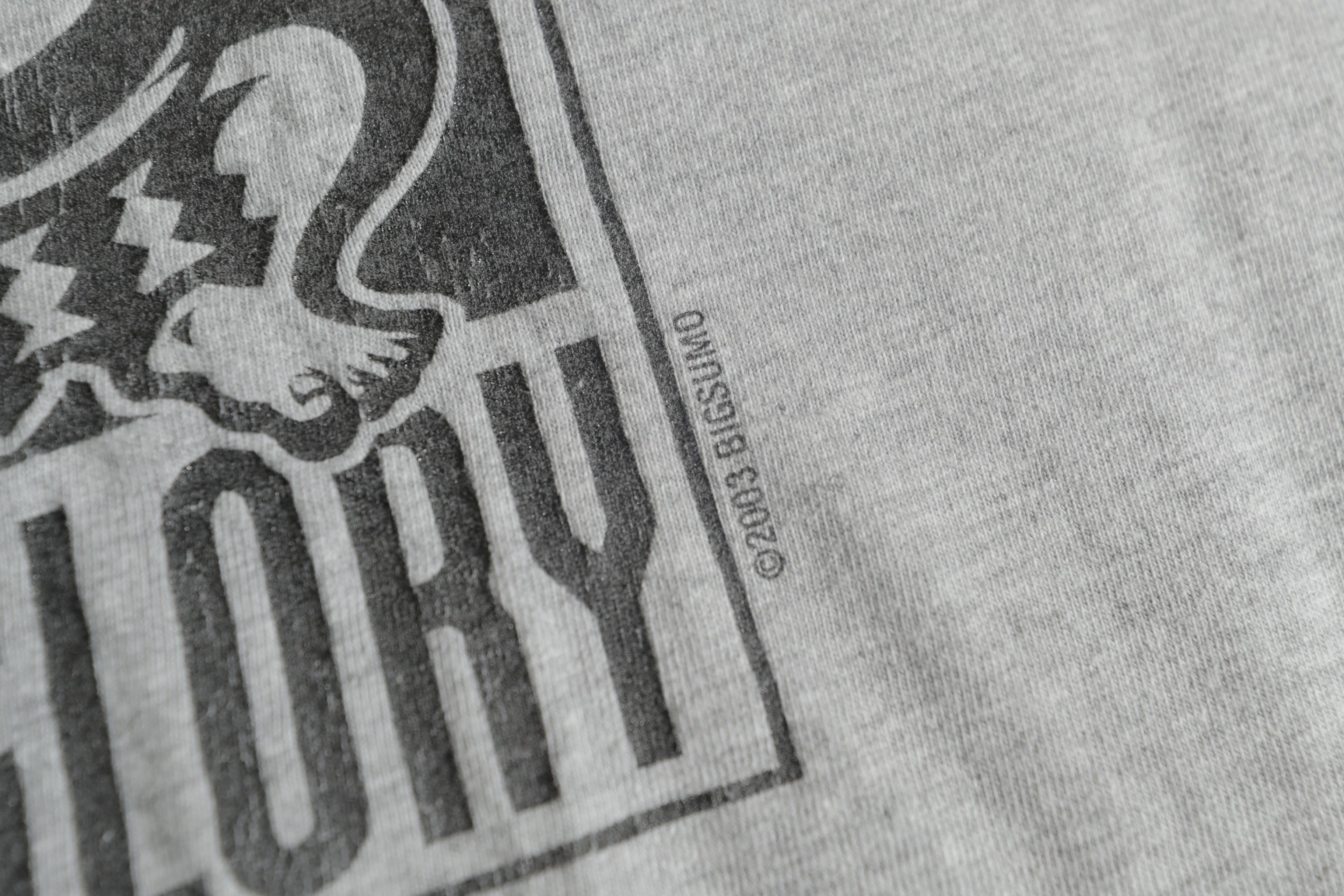 Vintage Big Sumo Tee Shirt Company No Gut No Glory 2003 Shirt Size US L / EU 52-54 / 3 - 11 Thumbnail
