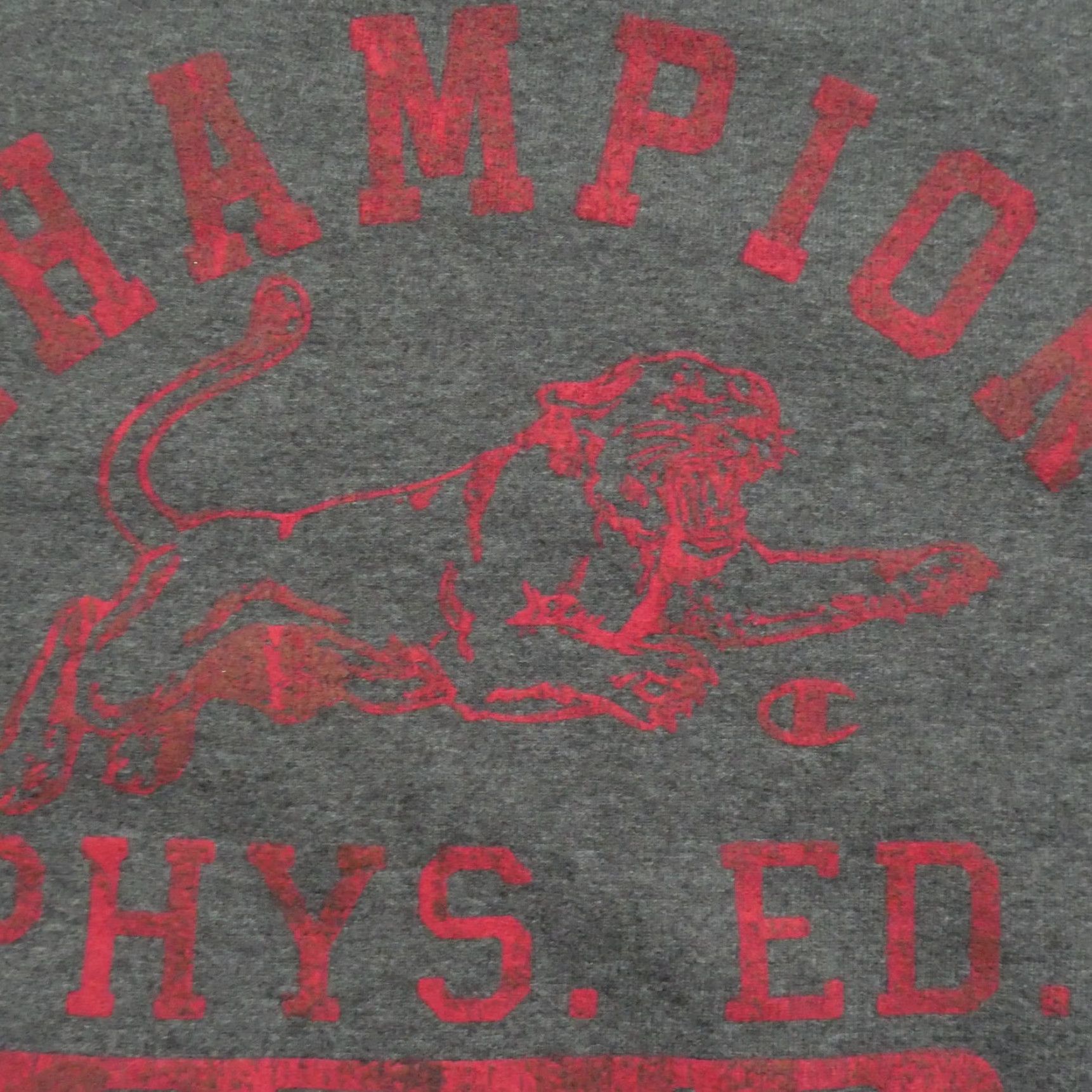 Champion Champion Sweatshirt Men Pullover Adult Medium Gray Logo Lion Mascot Retro Decade 90s Kings象 Size US M / EU 48-50 / 2 - 3 Thumbnail