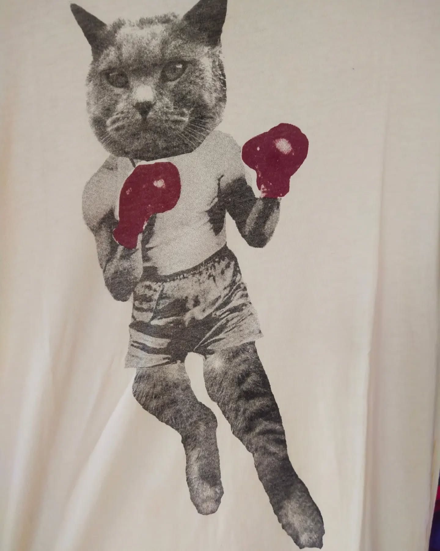 Vintage For Urban Cat Boxer Graphic T-Shirt Cream Size US M / EU 48-50 / 2 - 2 Thumbnail