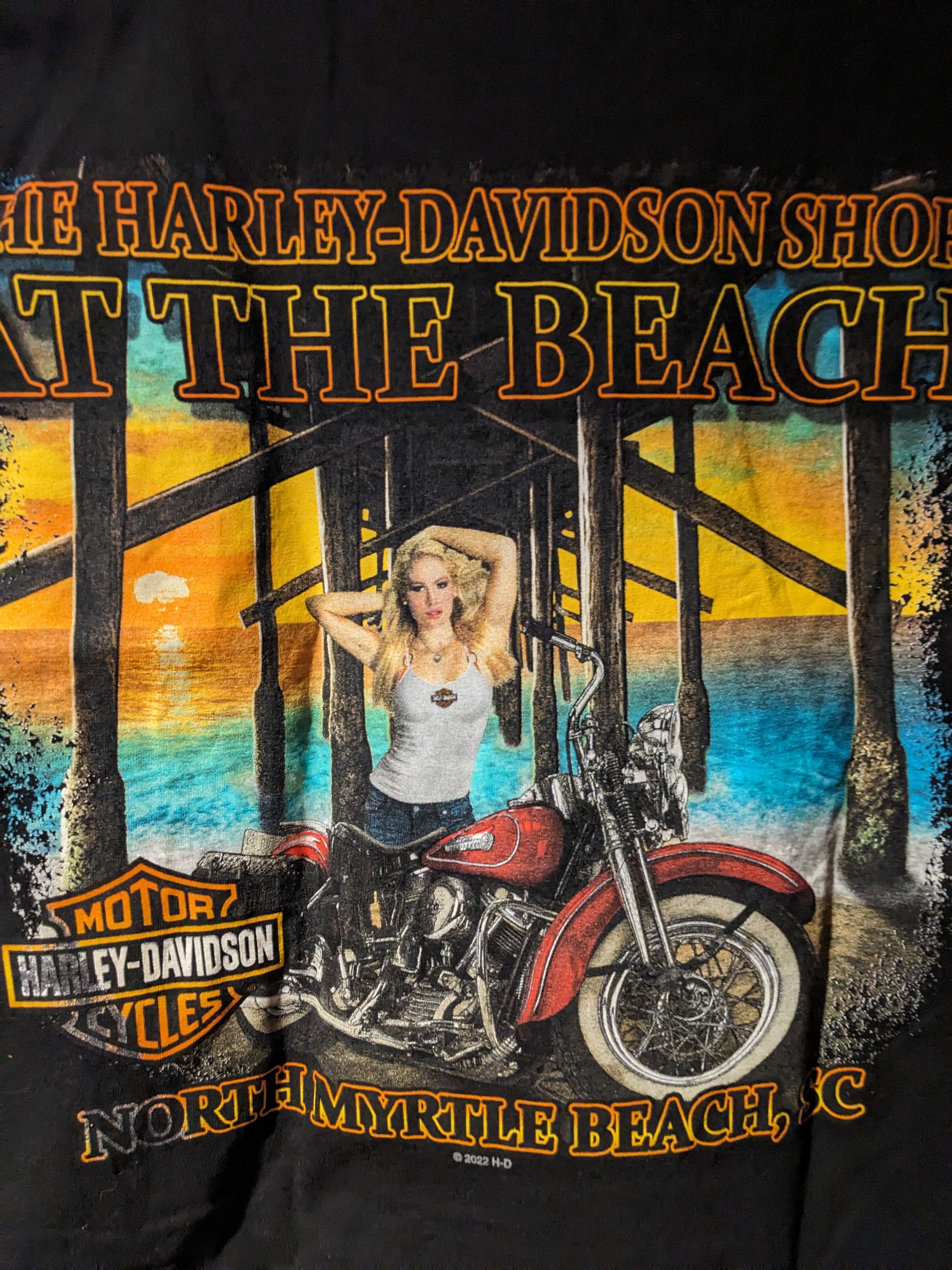 Harley Davidson Harley Davidson North Myrtle Beach Sleeveless T-Shirt Size US XL / EU 56 / 4 - 2 Thumbnail