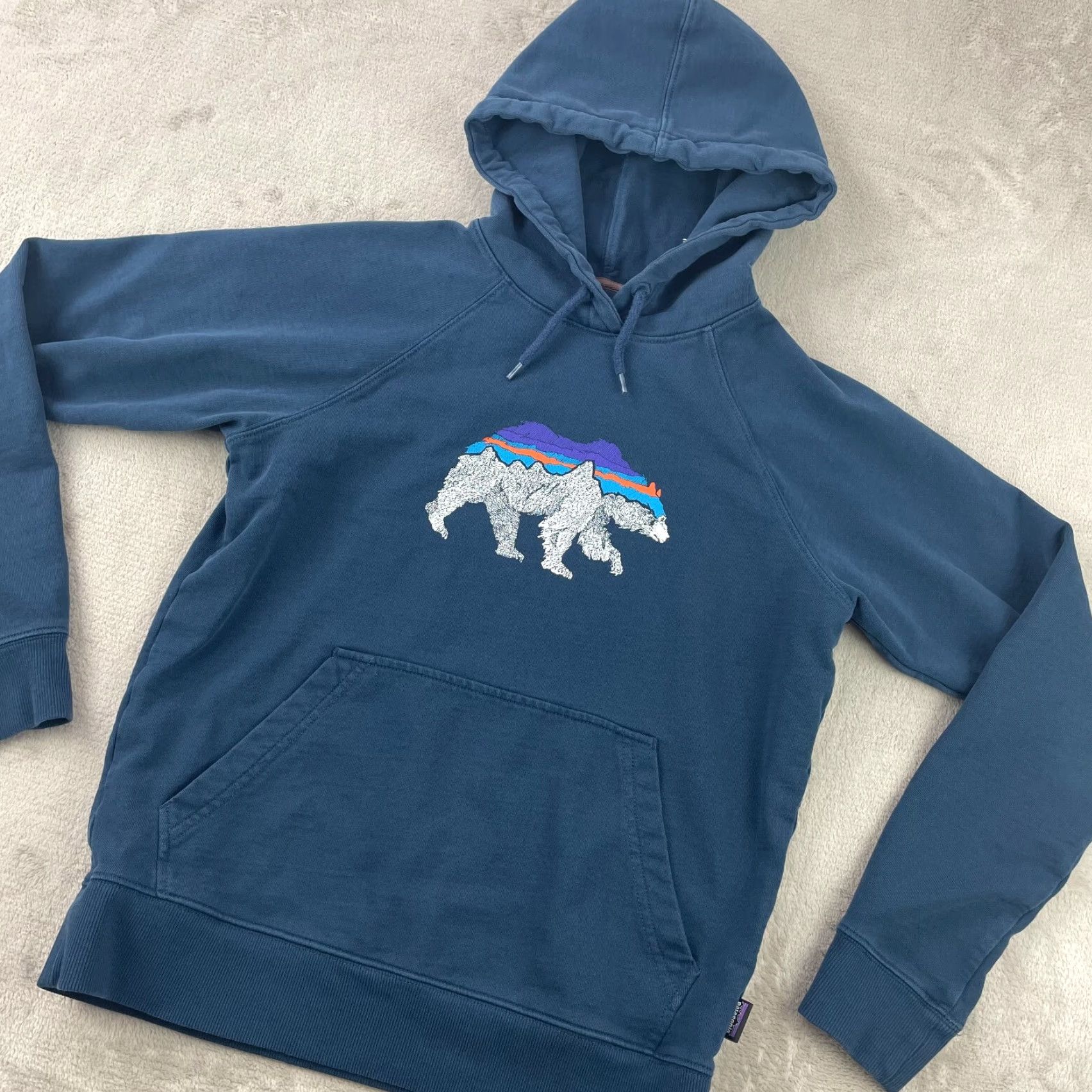Patagonia Patagonia Hoodie Women Small Blue Regular Fit Graphic Print Bear Logo Hooded Pockets All Seasons Fleece Cotton Blend Crew Neck Pullover Size S / US 4 / IT 40 - 5 Thumbnail