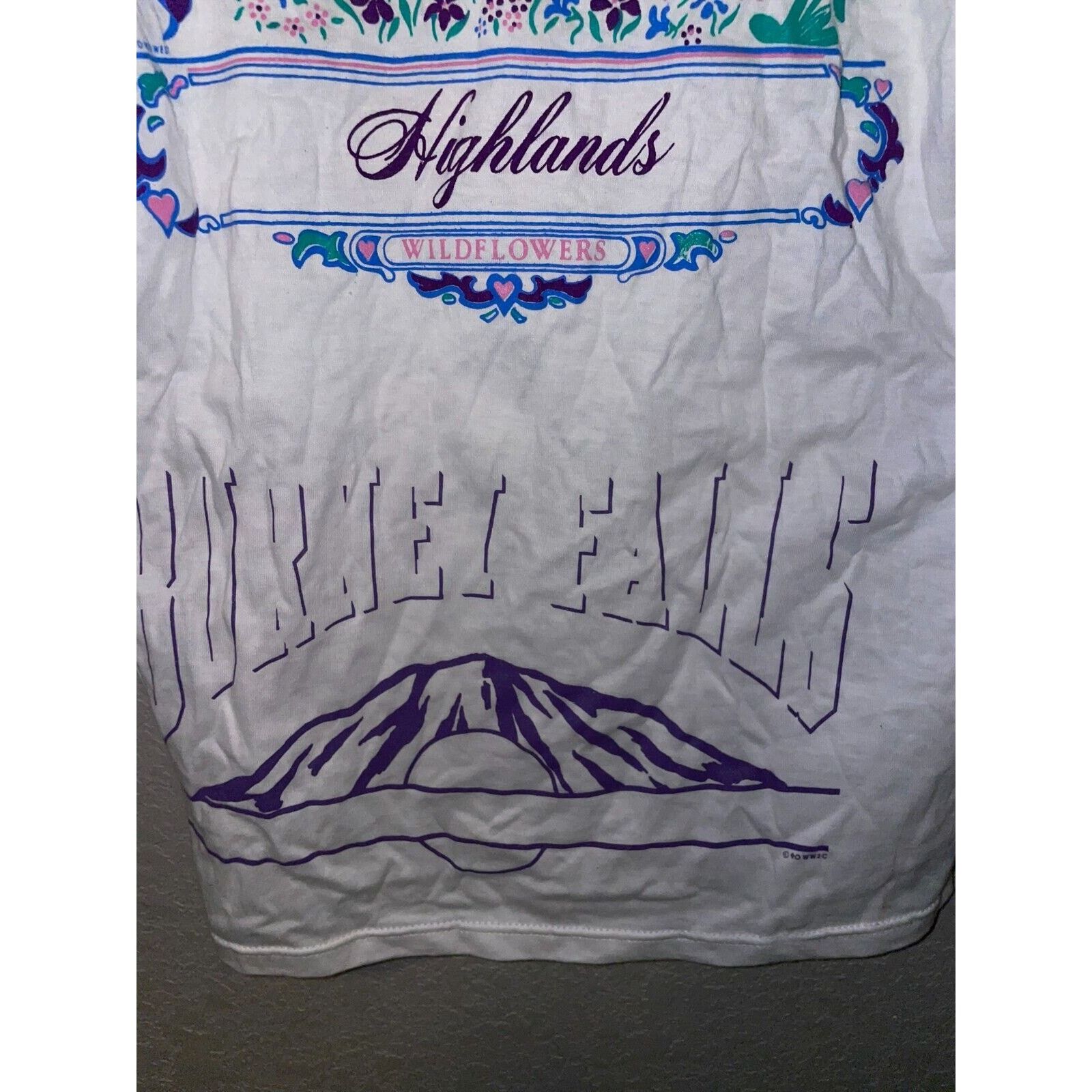 Jerzees 90s Test print Mount Rushmore Grand Teton Highlands Shirt M Size US M / EU 48-50 / 2 - 12 Thumbnail