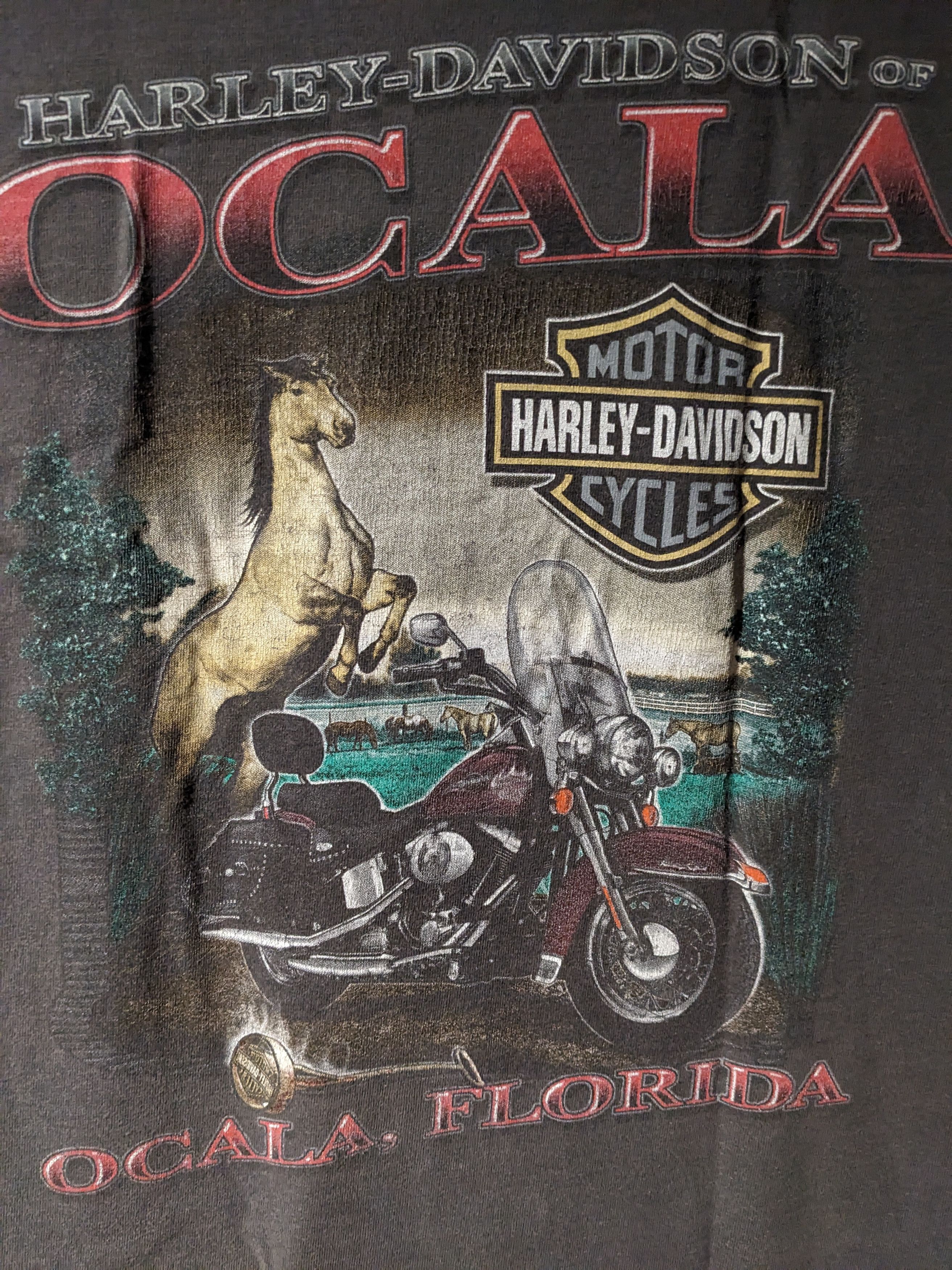 Harley Davidson × Vintage Vintage Y2K Harley Davidson Motorcycle Ocala Florida T-Shirt Size US M / EU 48-50 / 2 - 2 Thumbnail