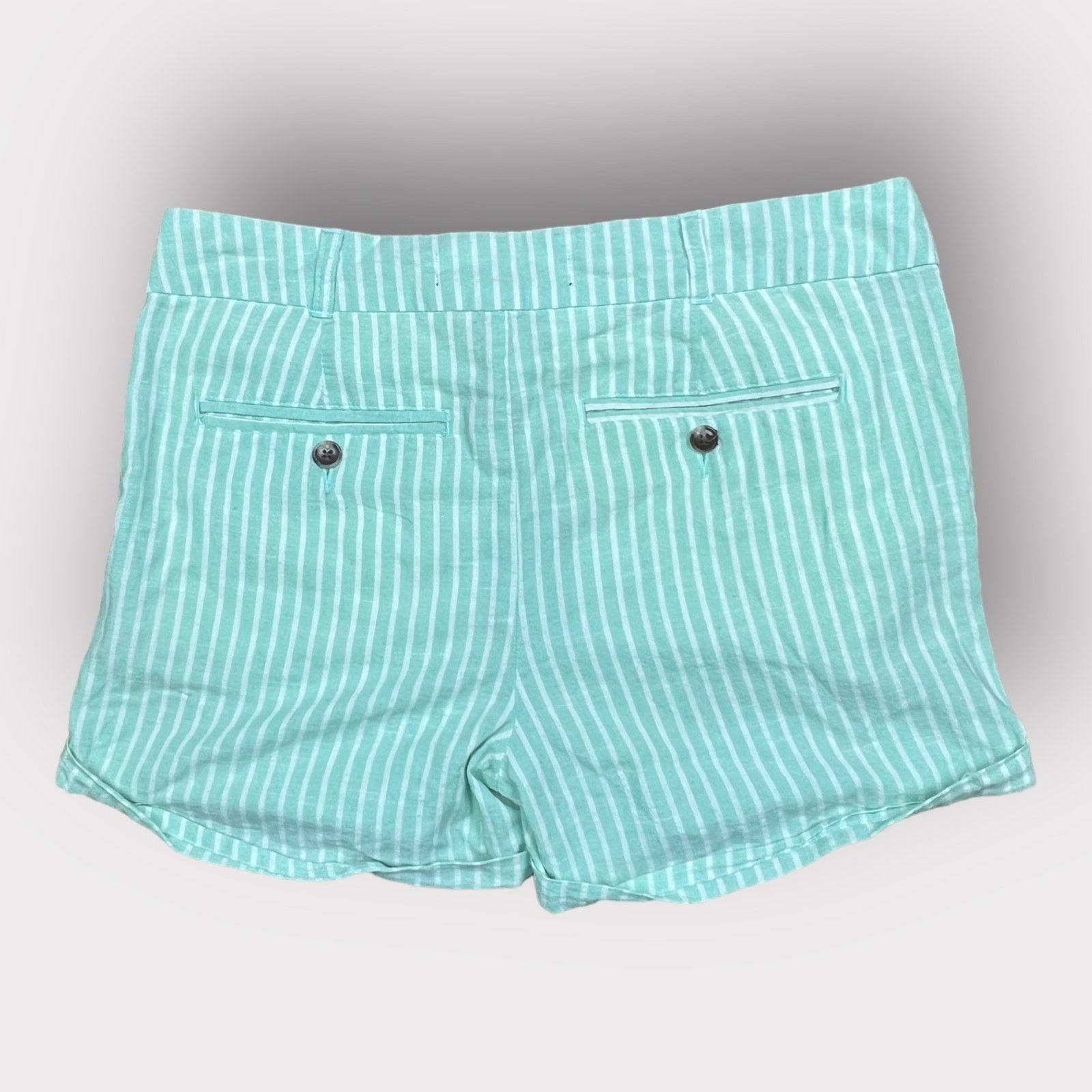 Other Blue Rain | Striped Green Pastel Shorts | Large Size 32" / US 10 / IT 46 - 4 Thumbnail