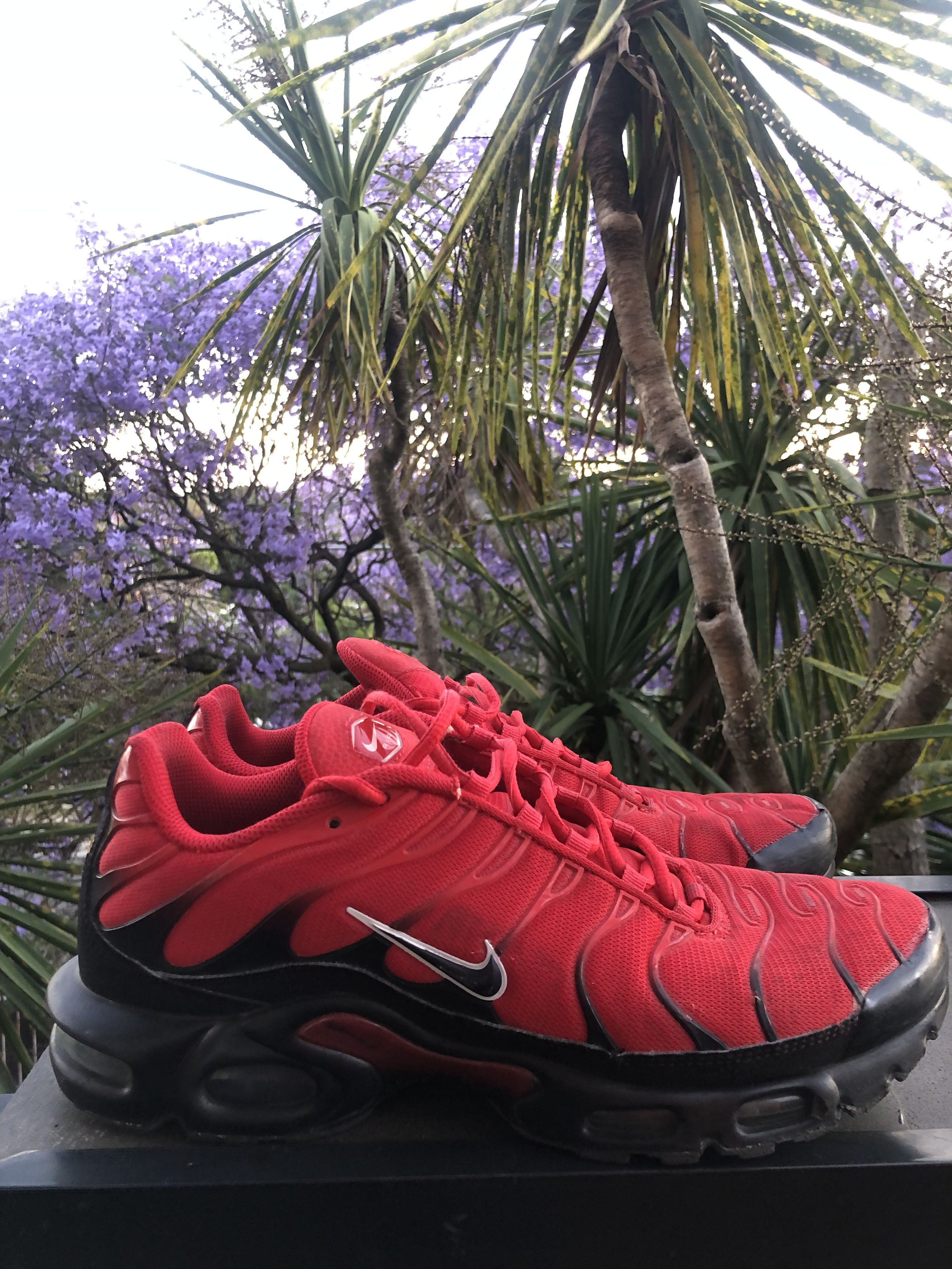Nike Nike TN Red/Black US 11 Size US 11 / EU 44 - 4 Thumbnail