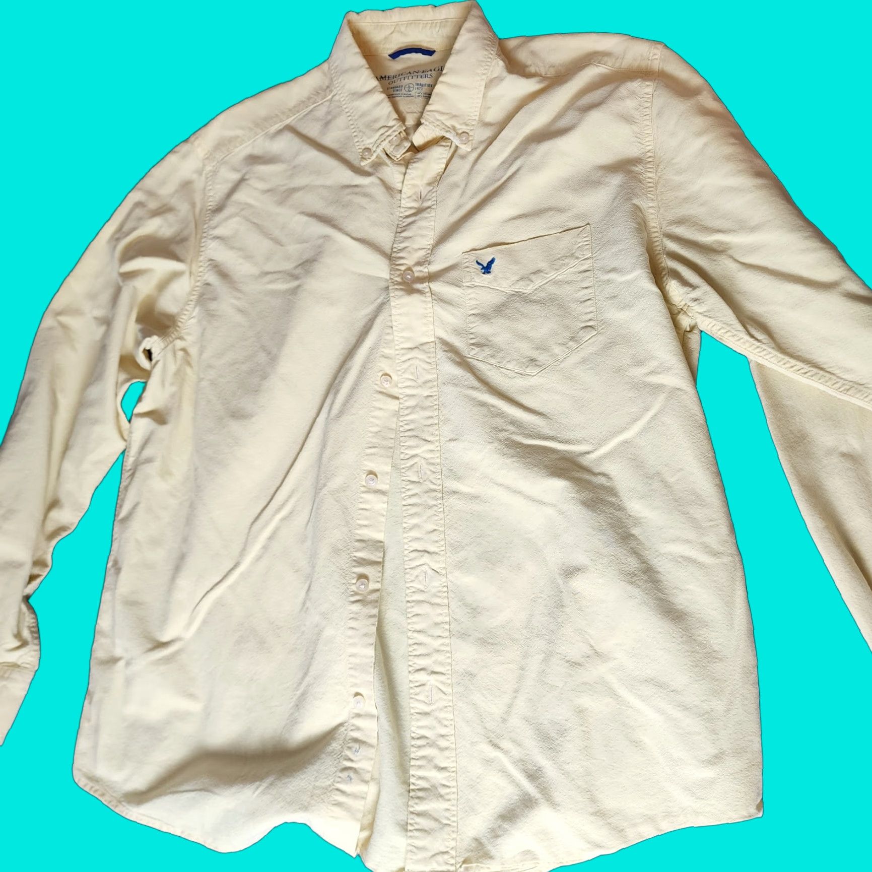American Eagle Outfitters American Eagle Outfitters Button-Up Shirt Mens Large Button Down Long Sleeve Yellow Solid Cotton Size US L / EU 52-54 / 3 - 1 Thumbnail