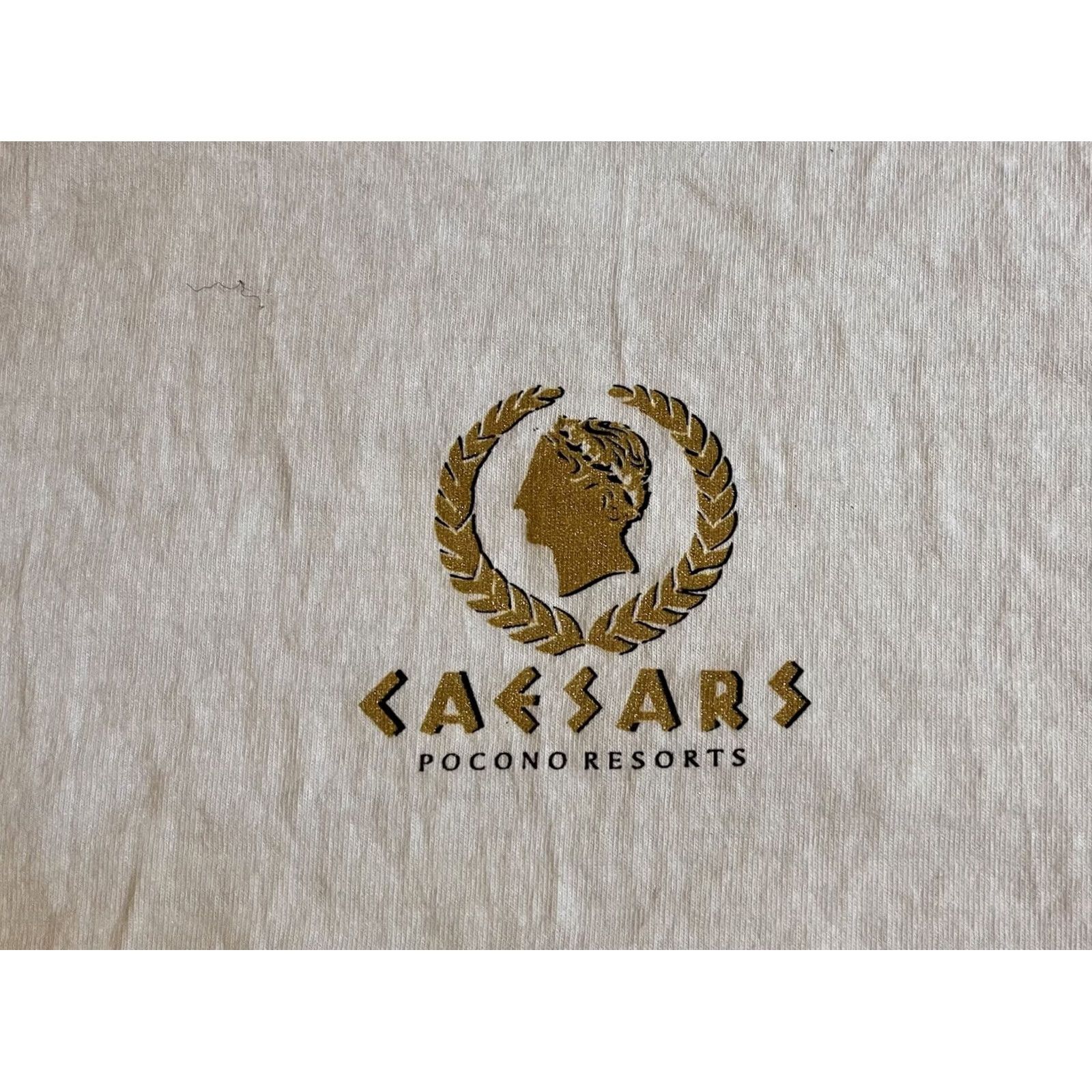Fruit Of The Loom VINTAGE Nike Shirt Men XL White Caesar’s Pocono Resorts 2001 WE GOT MARRIED Logo Graphic Print 45” chest 29-1/2" shoulder to hem Size US XL / EU 56 / 4 - 4 Thumbnail
