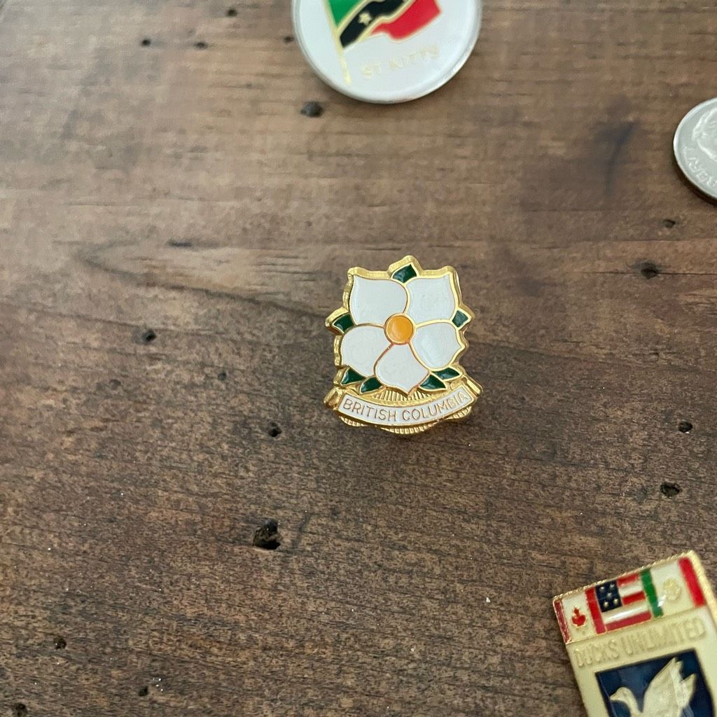 Vintage 6 Vintage Lapel Pins Batman St Kitts Firebird Amateur Radio 86 Expos Ducks Unlimited British Columbia Size ONE SIZE - 7 Thumbnail