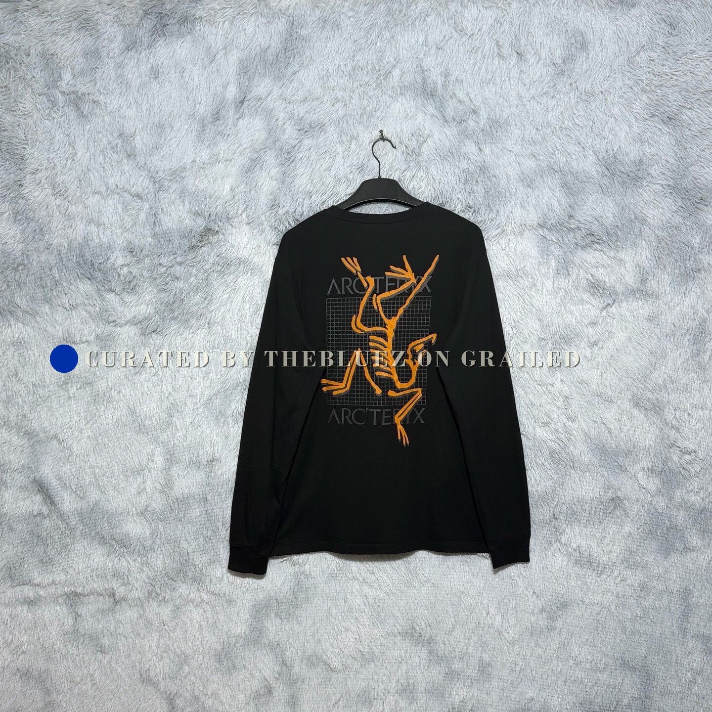 Arc'teryx Arcteryx System A Copal Long Sleeve Bird Tee Chalk | Grailed