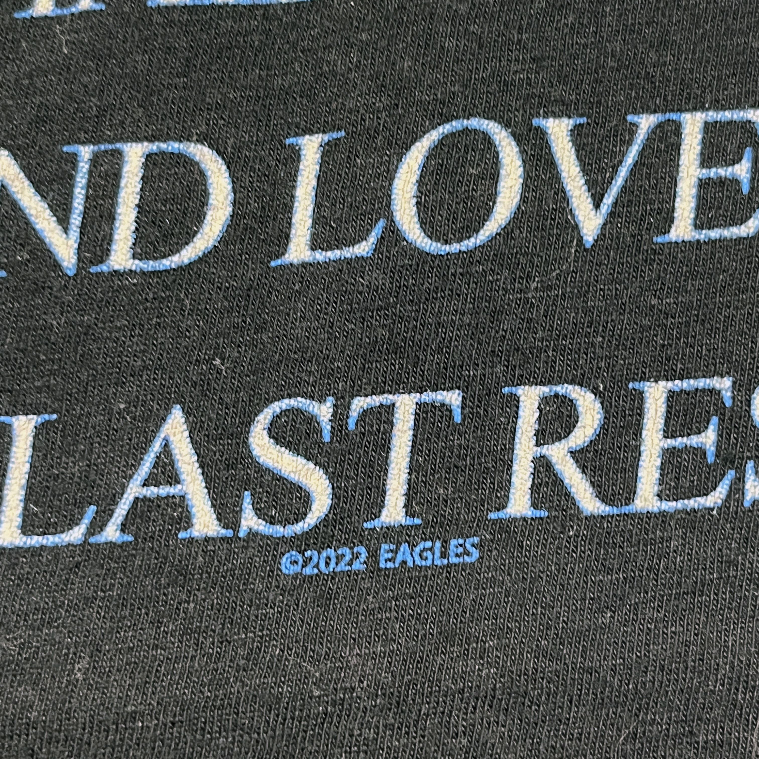 Band Tees × Vintage Eagles Shirt Vintage Band Tees Lynyrd Skynyrd Neil Young Size US XXL / EU 58 / 5 - 10 Thumbnail