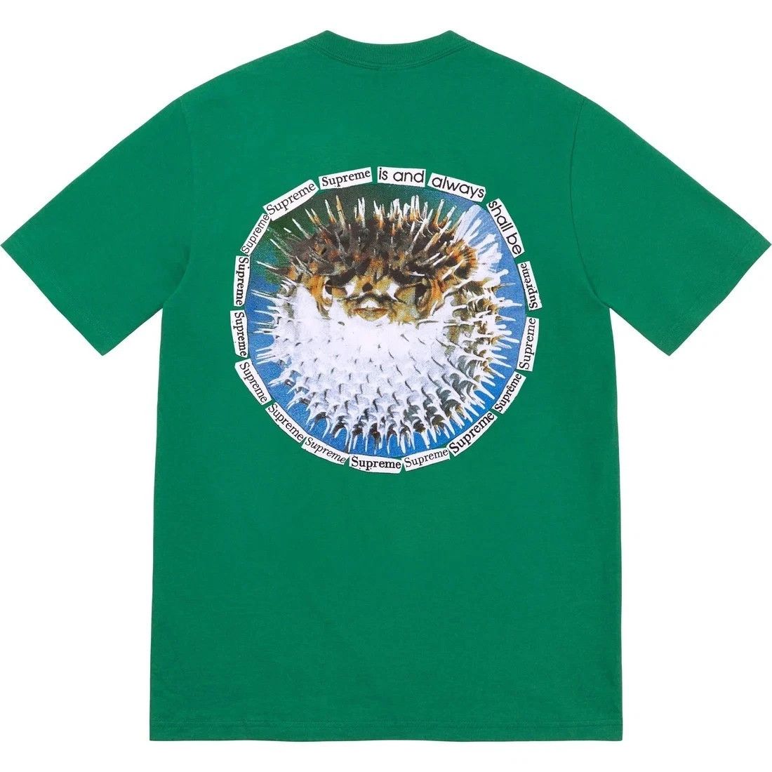 Supreme 🔥SUPREME BLOWFISH TEE (LIGHT PINE) (Medium) FW23 💵 Size US M / EU 48-50 / 2 - 5 Thumbnail