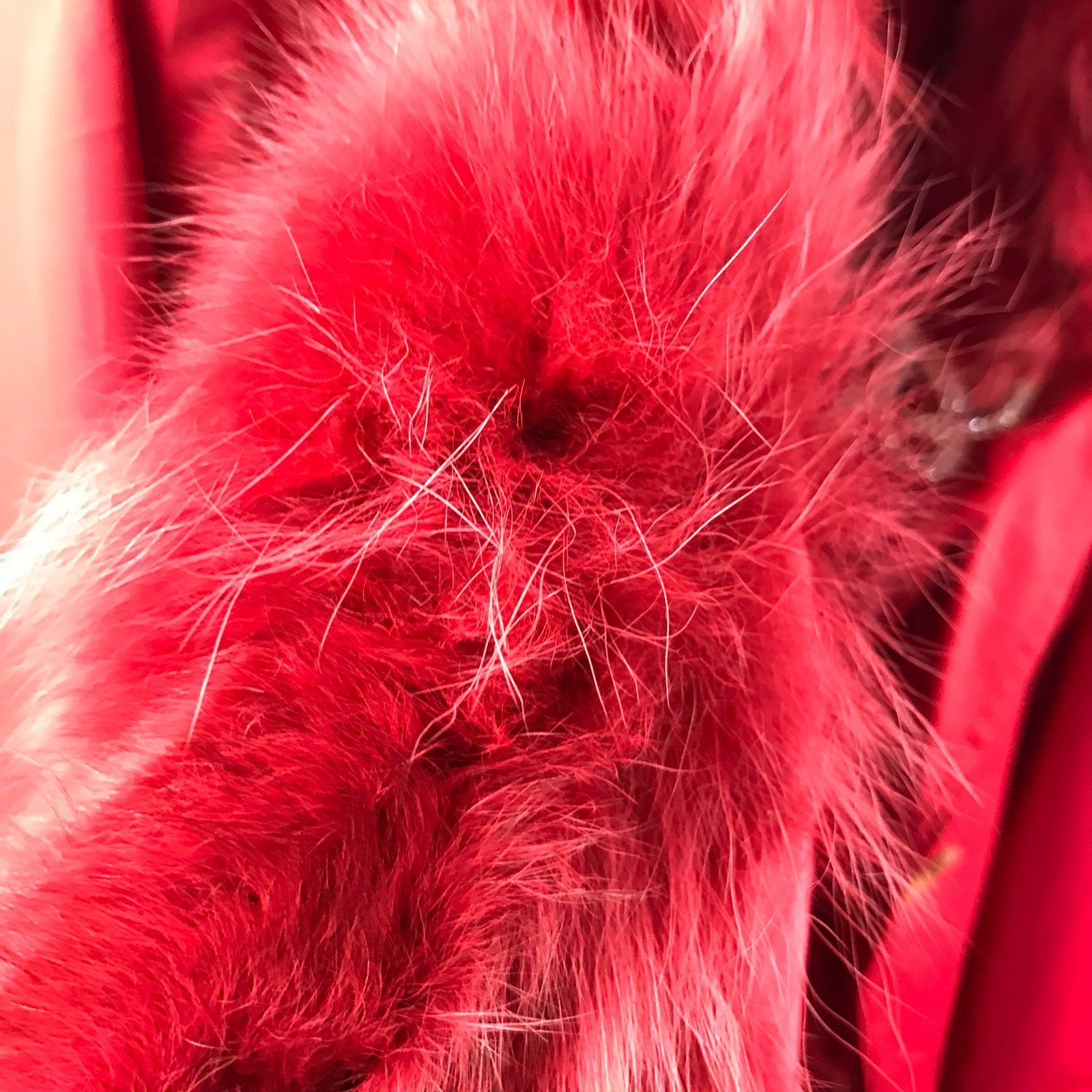 Other OLIVIA LAUREN WOMEN COAT RED Size ONE SIZE - 4 Thumbnail