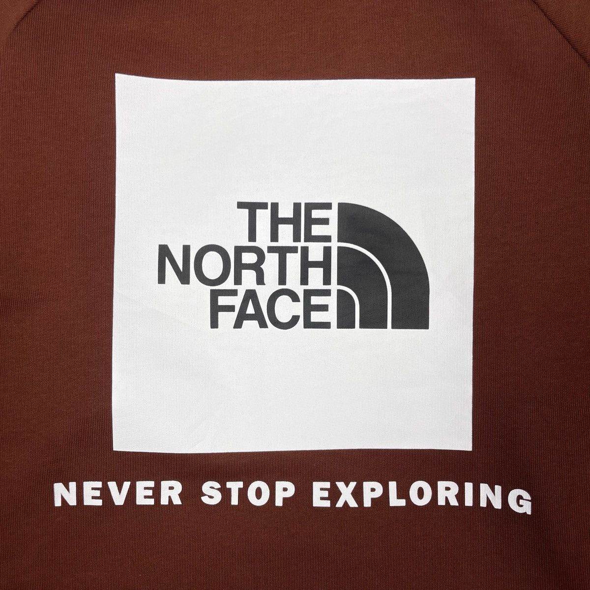 The North Face The North Face Raglan Redbox Hoodie Size US L / EU 52-54 / 3 - 4 Thumbnail