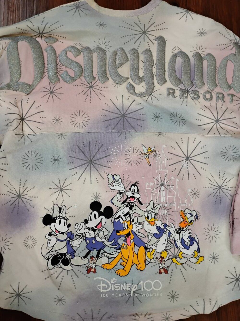 Disney Disney 100 Disneyland Resort Spirit Jersey Size US M / EU 48-50 / 2 - 1 Thumbnail