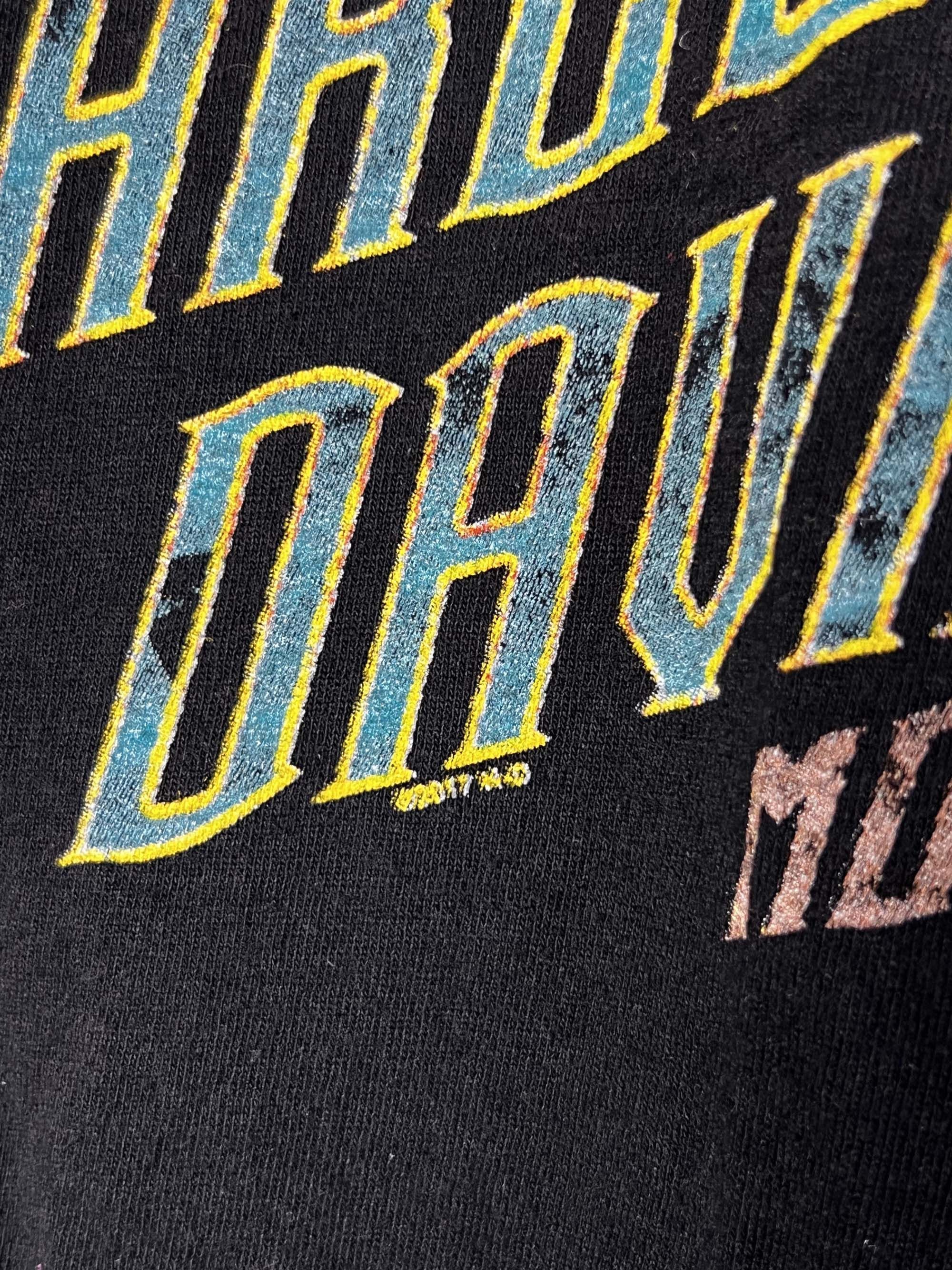 Harley Davidson Harley Davidson " The Lone Wolf" Black Double Sided T-Shirt Size US L / EU 52-54 / 3 - 4 Thumbnail