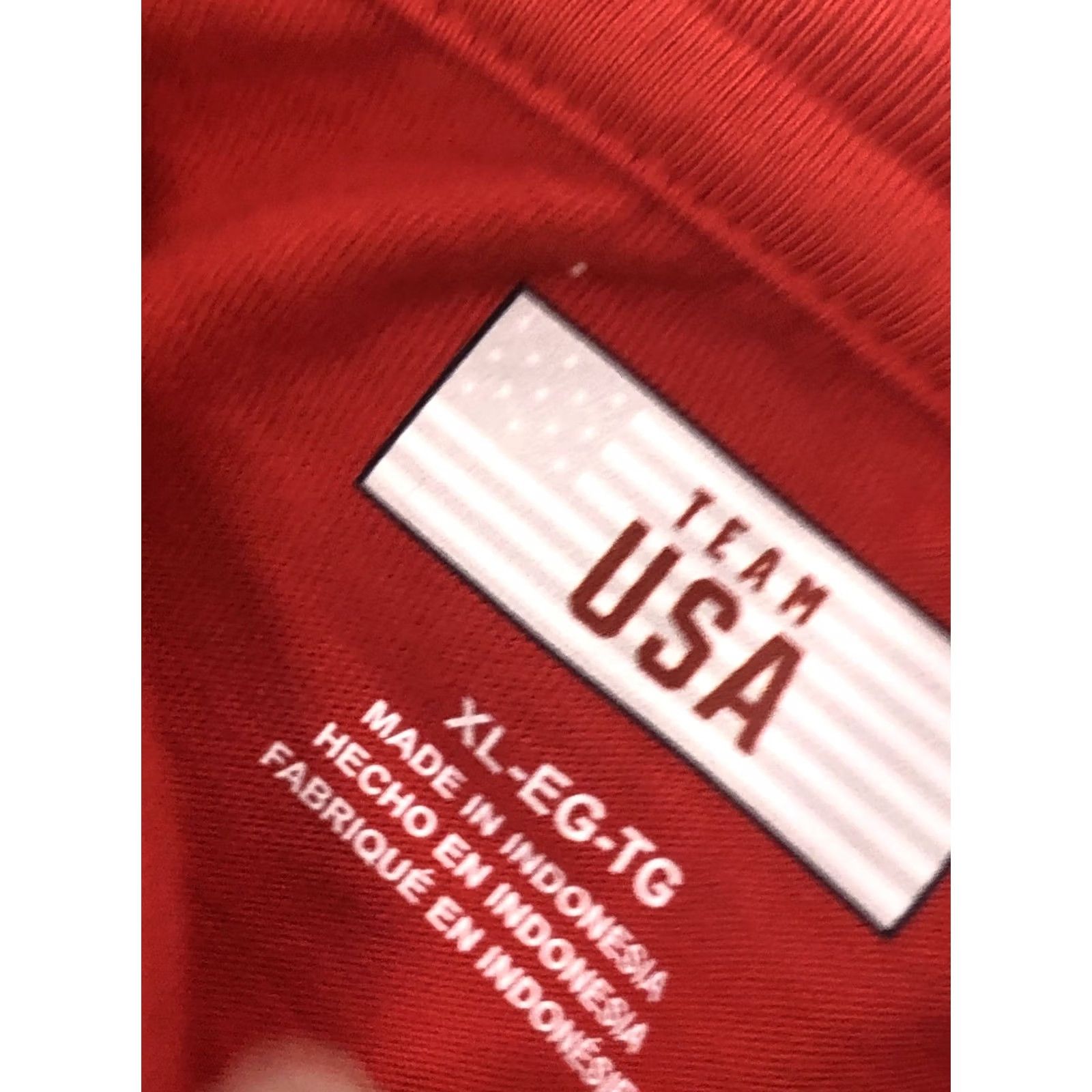 Vintage TEAM USA Olympic Team Graphic Short Sleeve T-Shirt Mens XL Red MENS Size US XL / EU 56 / 4 - 6 Thumbnail