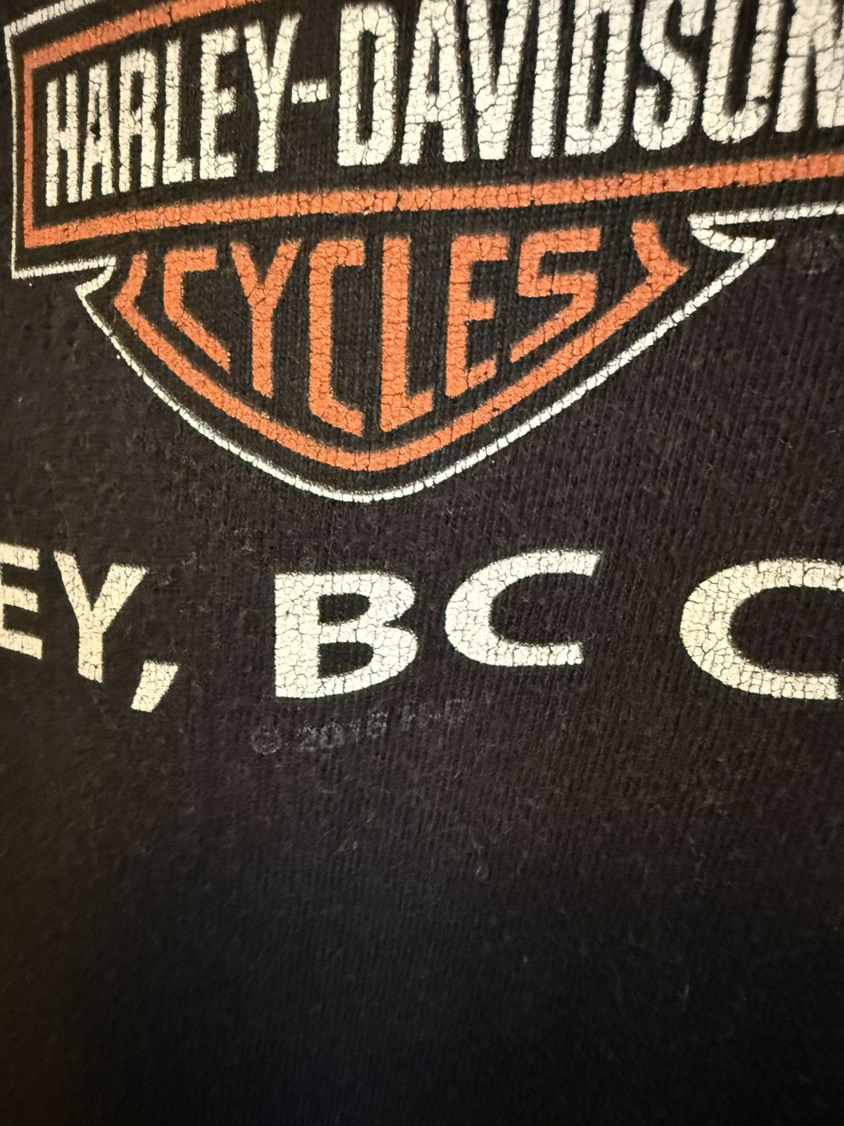 Harley Davidson Harley-Davidson Skull Tee (Langley BC, 5XL) Size US XXL / EU 58 / 5 - 4 Thumbnail