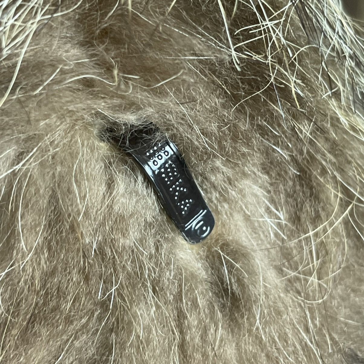 Junya Watanabe Junya Watanabe Avangarde Fur faux Coat Jacket Size L / US 10 / IT 46 - 10 Thumbnail
