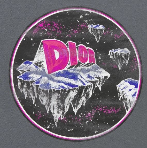 Dior o1w1db10824 T-Shirt, Relaxed Fit in Grey Size US XXL / EU 58 / 5 - 4 Thumbnail