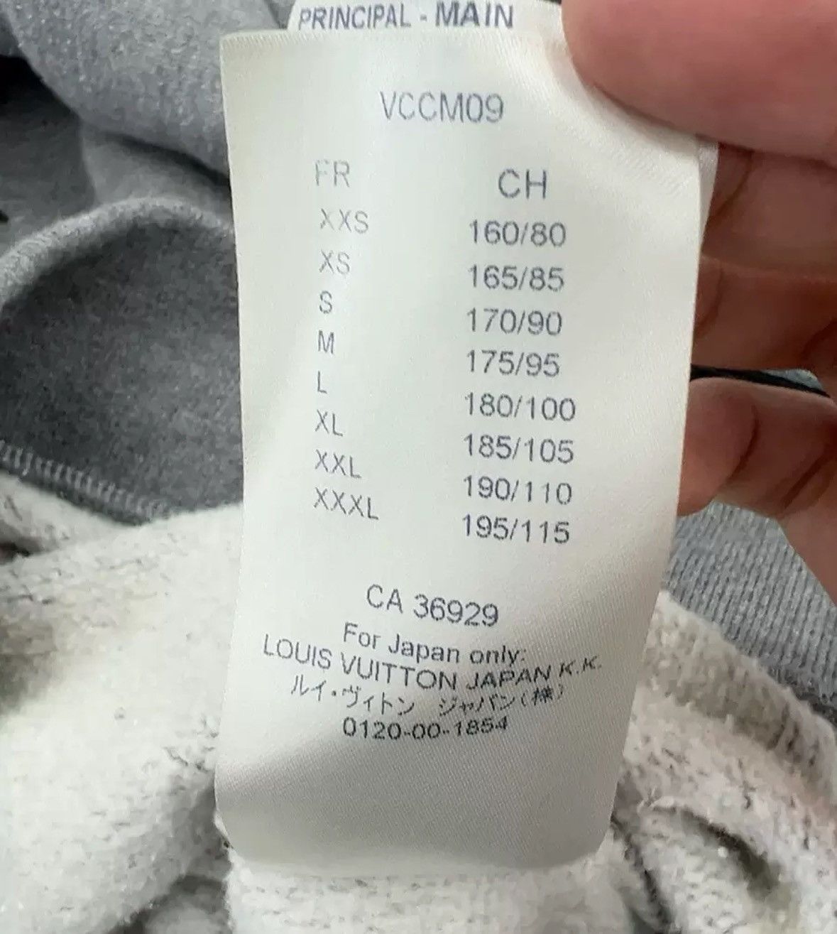 Louis Vuitton Louis Vuitton hoodie Size US M / EU 48-50 / 2 - 4 Thumbnail