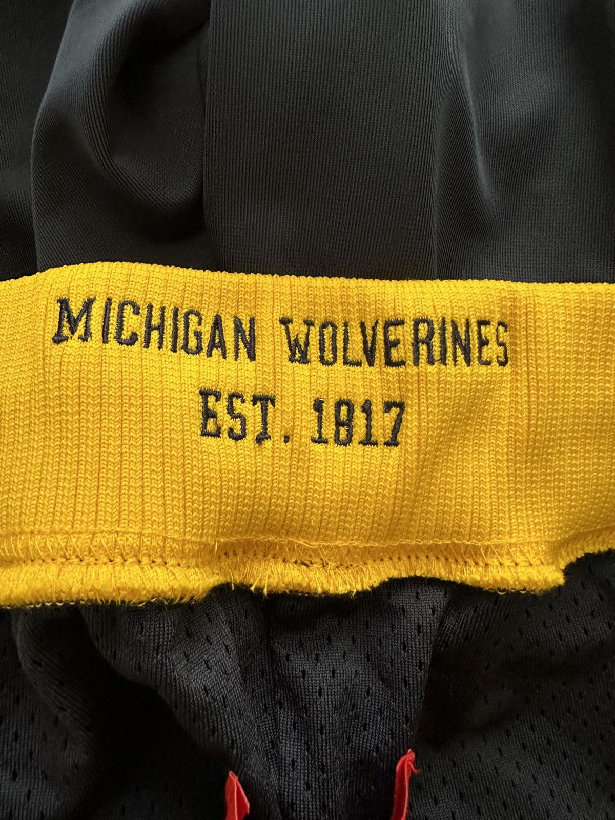 Just Don Air Jordan Just Don Michigan Wolverines PE Shorts RARE Size US 32 / EU 48 - 10 Thumbnail