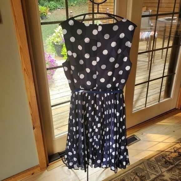 Adrianna Papell Adrianna Papell Pleated Burn Out Dot Fit and Flare Sz. 14 Dr Size XL / US 12-14 / IT 48-50 - 5 Thumbnail