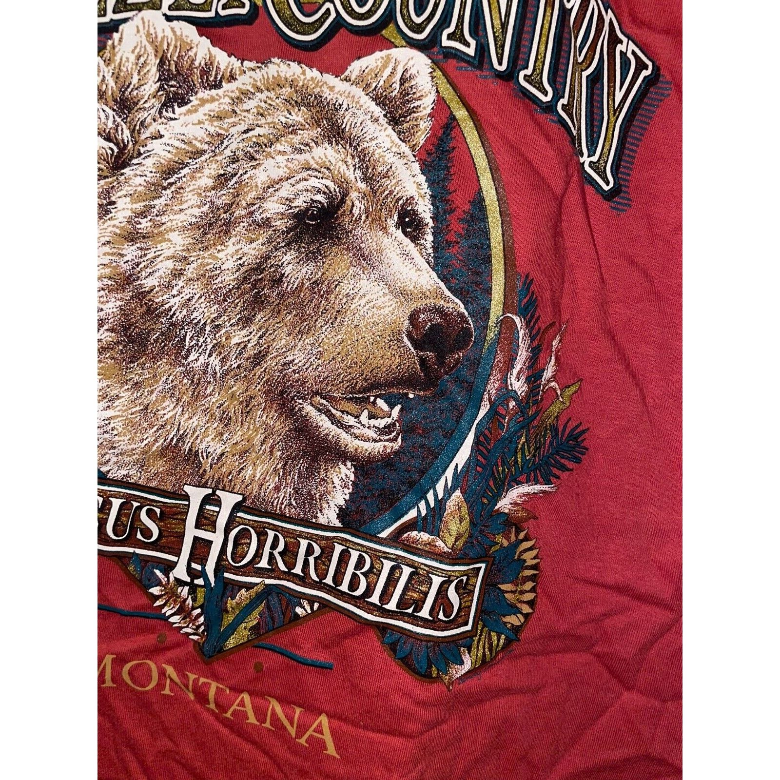 Jerzees 90s Vintage Grizzly Country Ursus Horribilis Montana Shirt Size US S / EU 44-46 / 1 - 8 Thumbnail