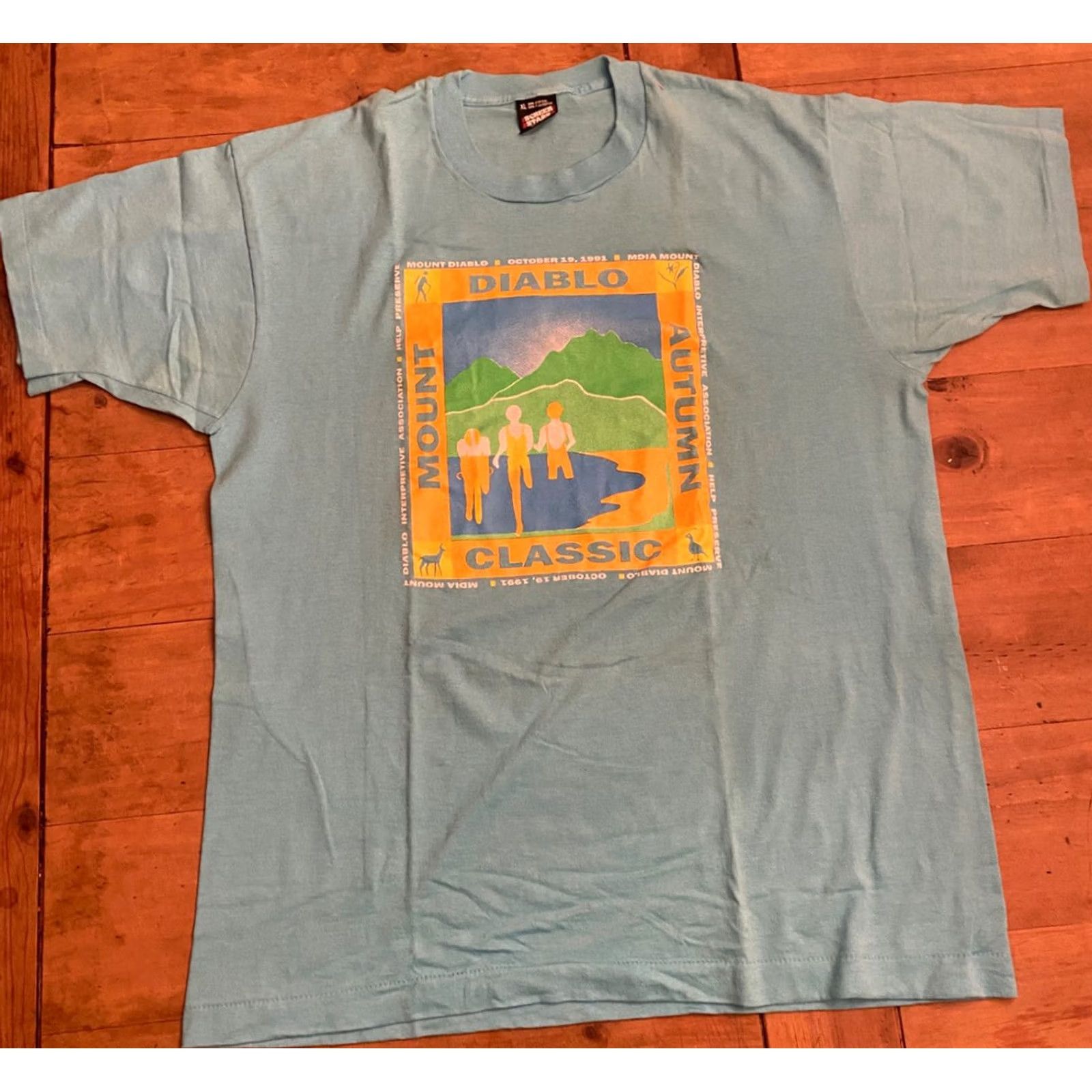 Vintage VINTAGE 1991 Destination Mount Diablo Autumn Classic Single Stitch Size XL T-Shirt Mens Turquoise Size US XL / EU 56 / 4 - 2 Thumbnail