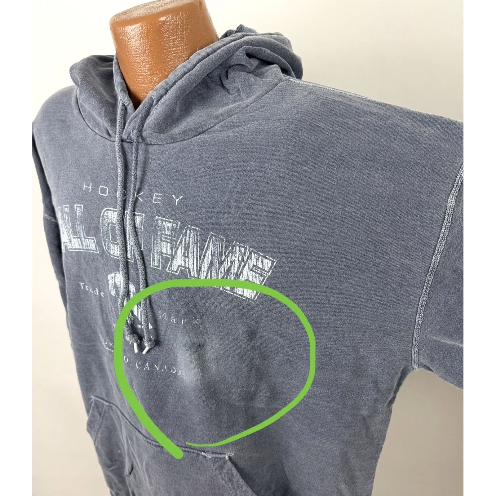Vintage VINTAGE Bulletin Hoodie Mens XL Blue 90s Hockey Hall of Fame Pigment Dyed Pullover Hoodie Mens XL Blue 90s Grunge Retro Sports Size US XL / EU 56 / 4 - 5 Thumbnail