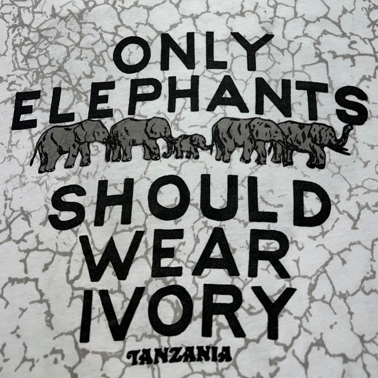 Hanes × Vintage Y2K Only Elephants Should Wear Ivory AOP T-Shirt Size US S / EU 44-46 / 1 - 4 Thumbnail