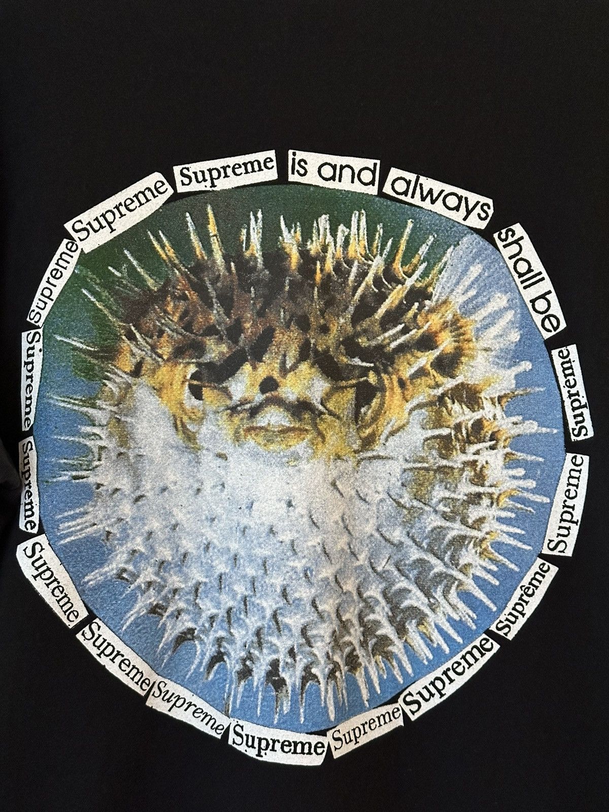 Supreme Supreme Blowfish Tee Size US L / EU 52-54 / 3 - 2 Thumbnail