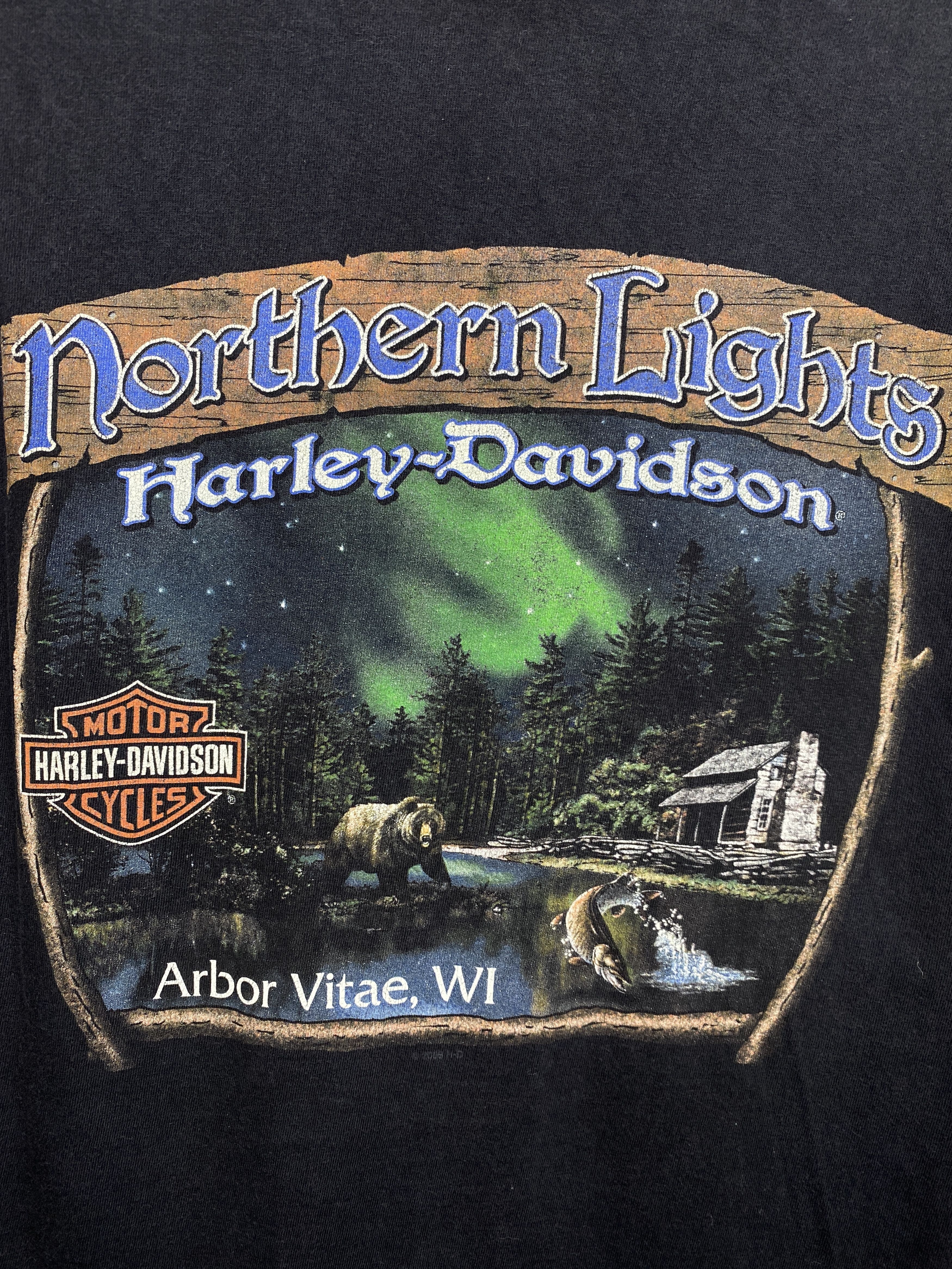 Harley Davidson × Vintage Harley Davidson 2010 Vintage Northern Lights Mens T-Shirt Size US L / EU 52-54 / 3 - 3 Thumbnail