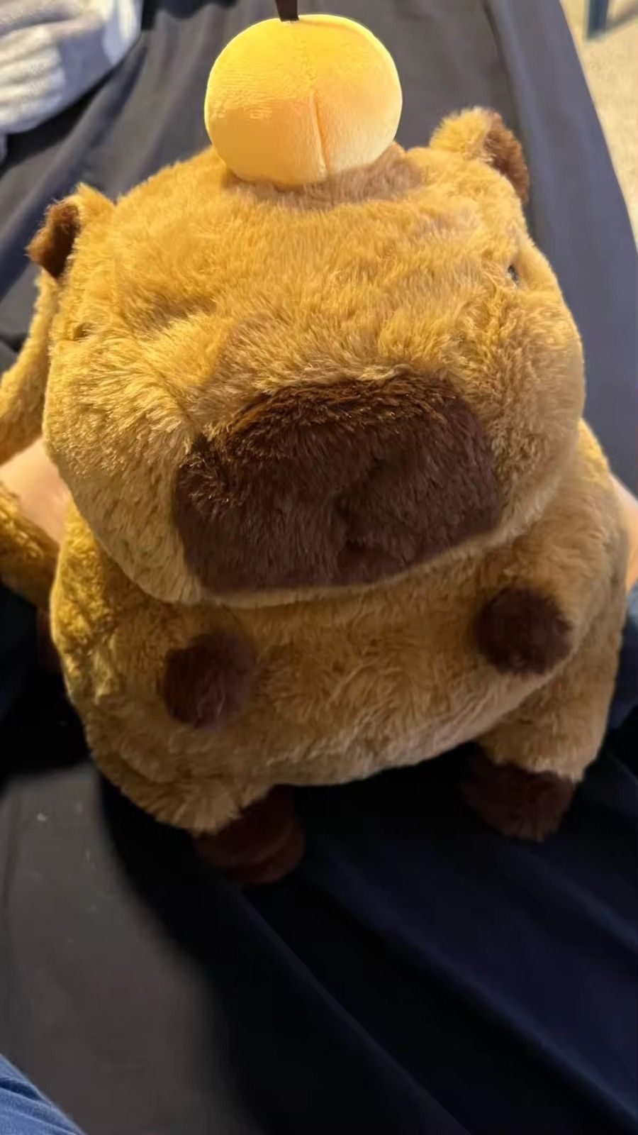 Japanese Brand × Vintage Capybara Plush Backpack Size ONE SIZE - 10 Thumbnail