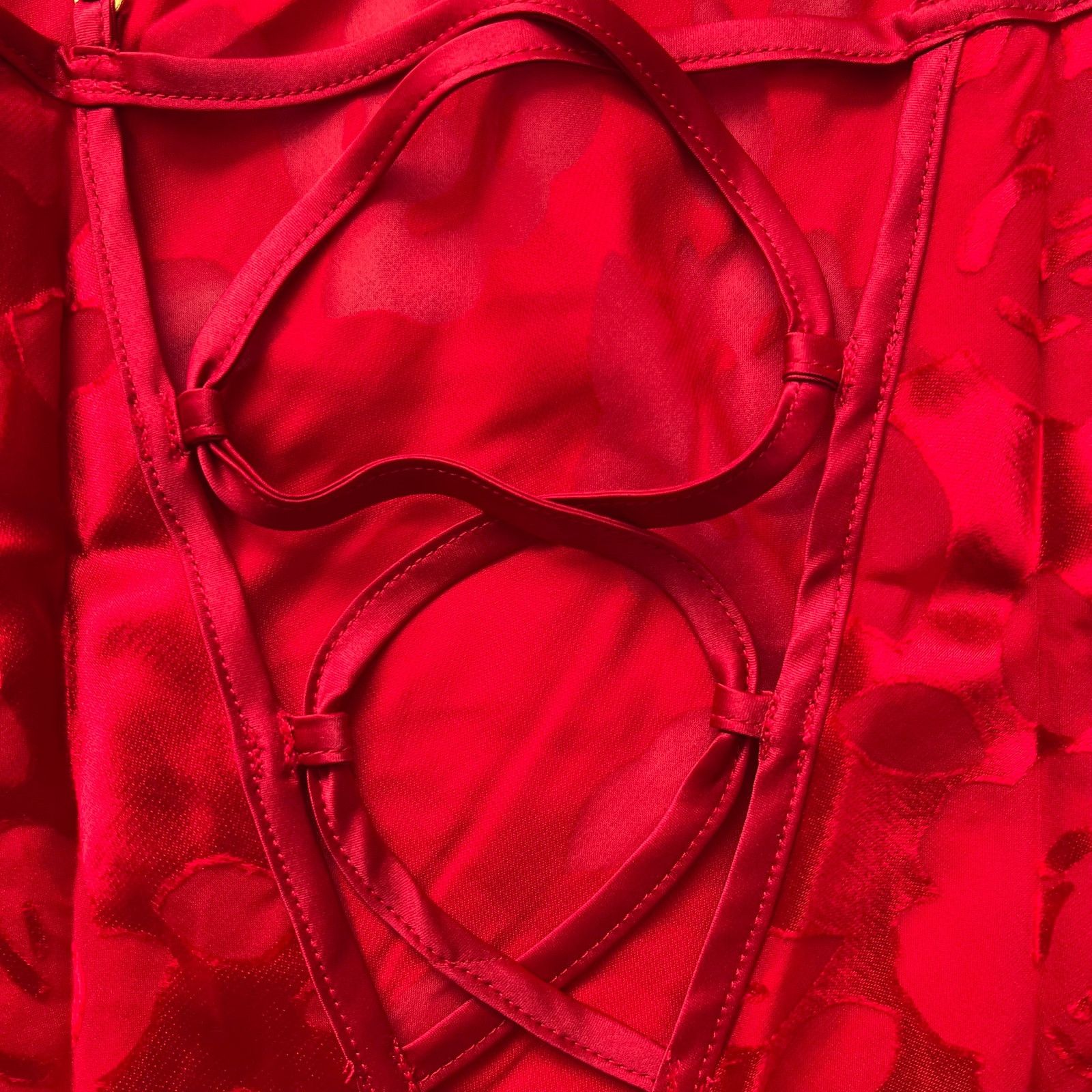 Victoria's Secret Victoria's Secret Burnout Red Burnout Satin Teddy, S Size S / US 4 / IT 40 - 3 Thumbnail